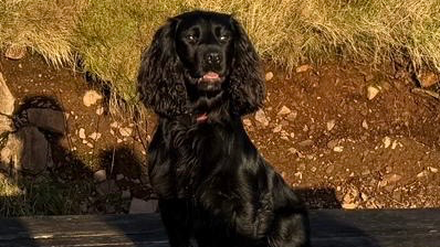 Monty photo