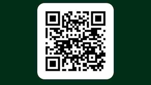 Help vet with vet bills for Rex’s Hit photo