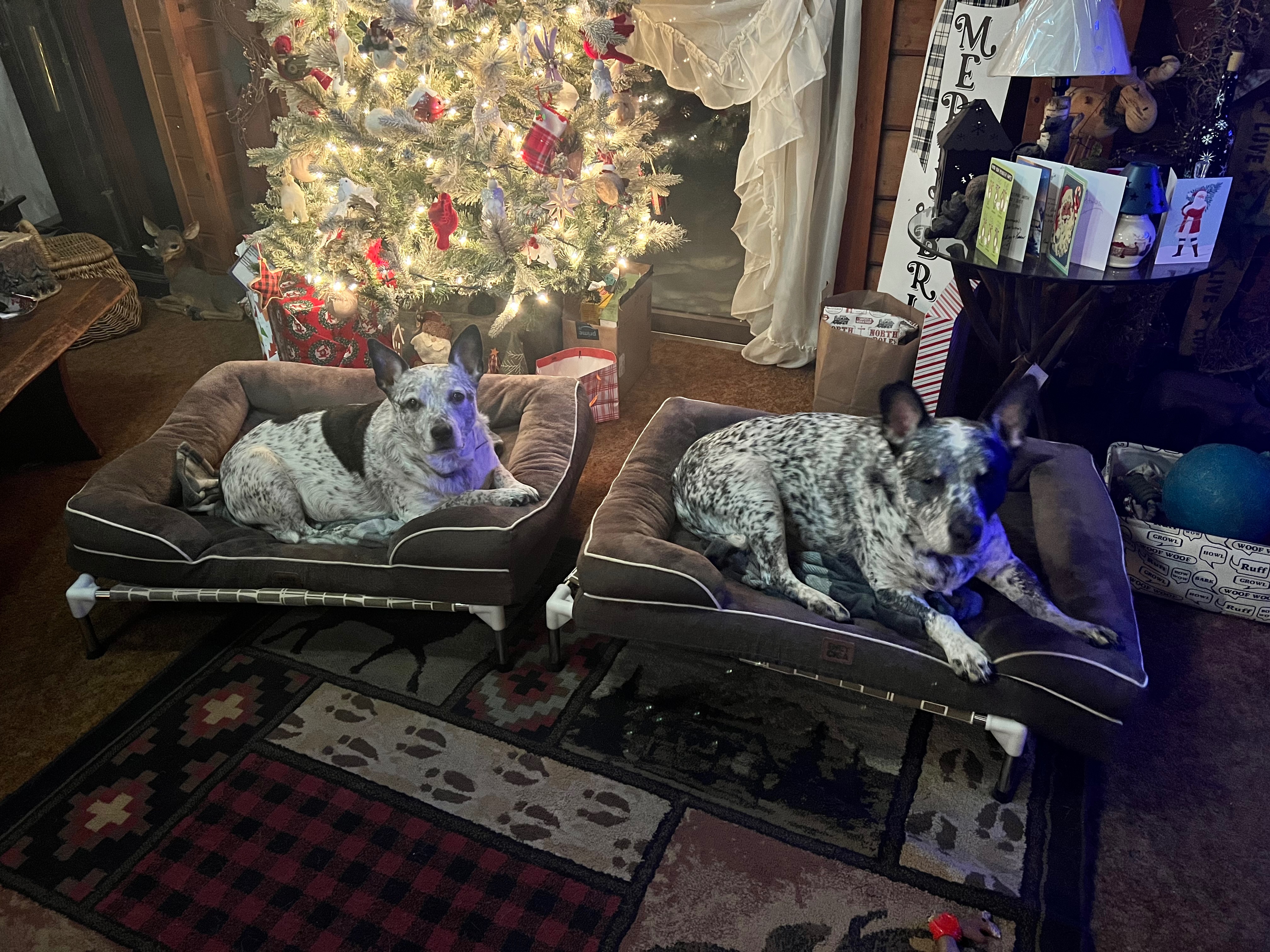 Fundraiser by jessica handschuh : Help Us Rebuild After House Fire