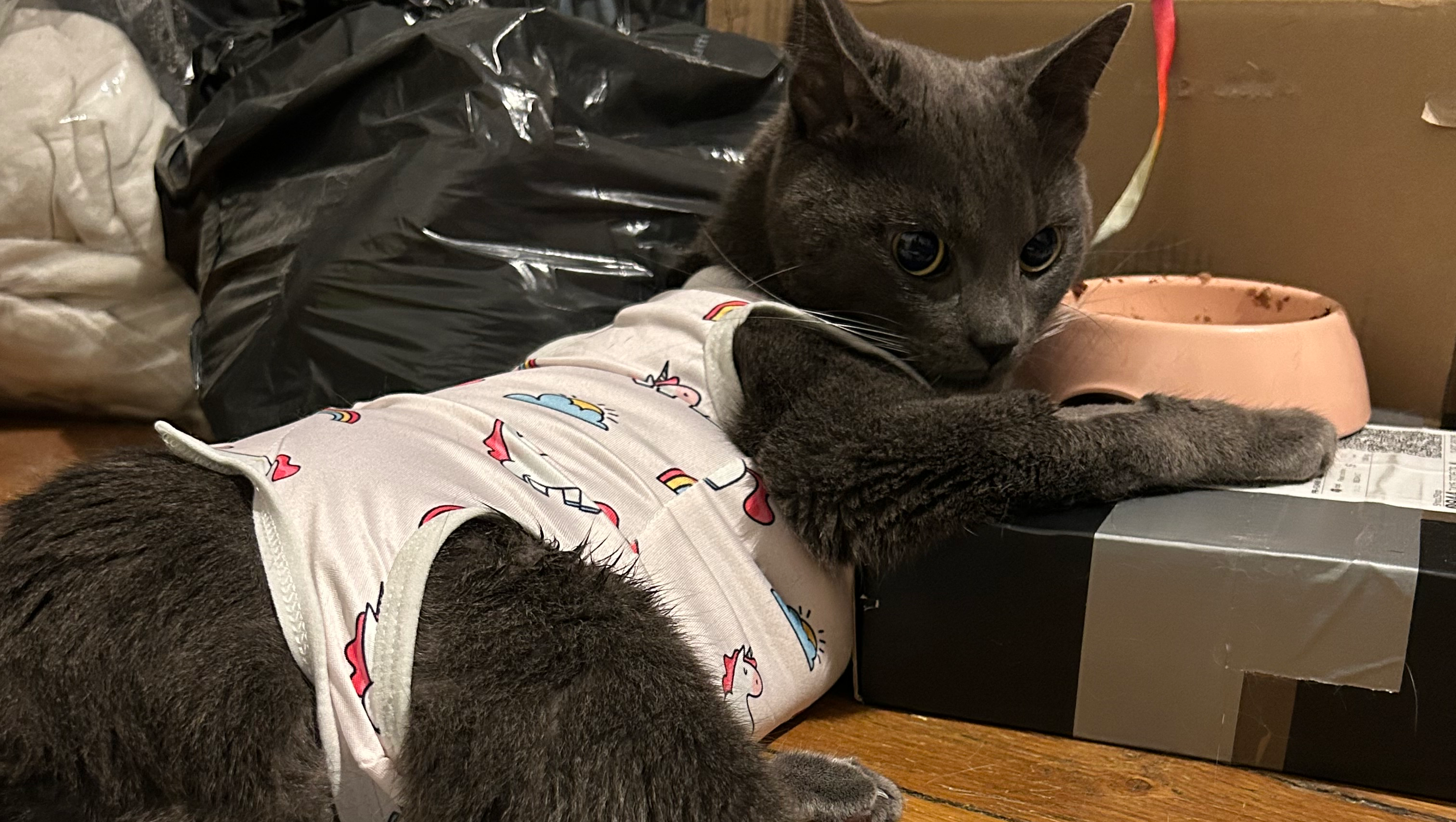 SWAN LIFESAVING SURGERY photo