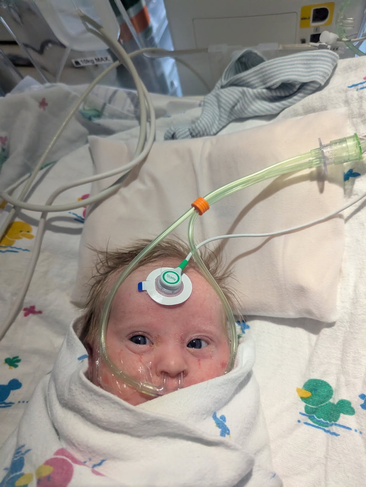 Support for Bowen’s Medical Journey campaign photo, 6 of 7