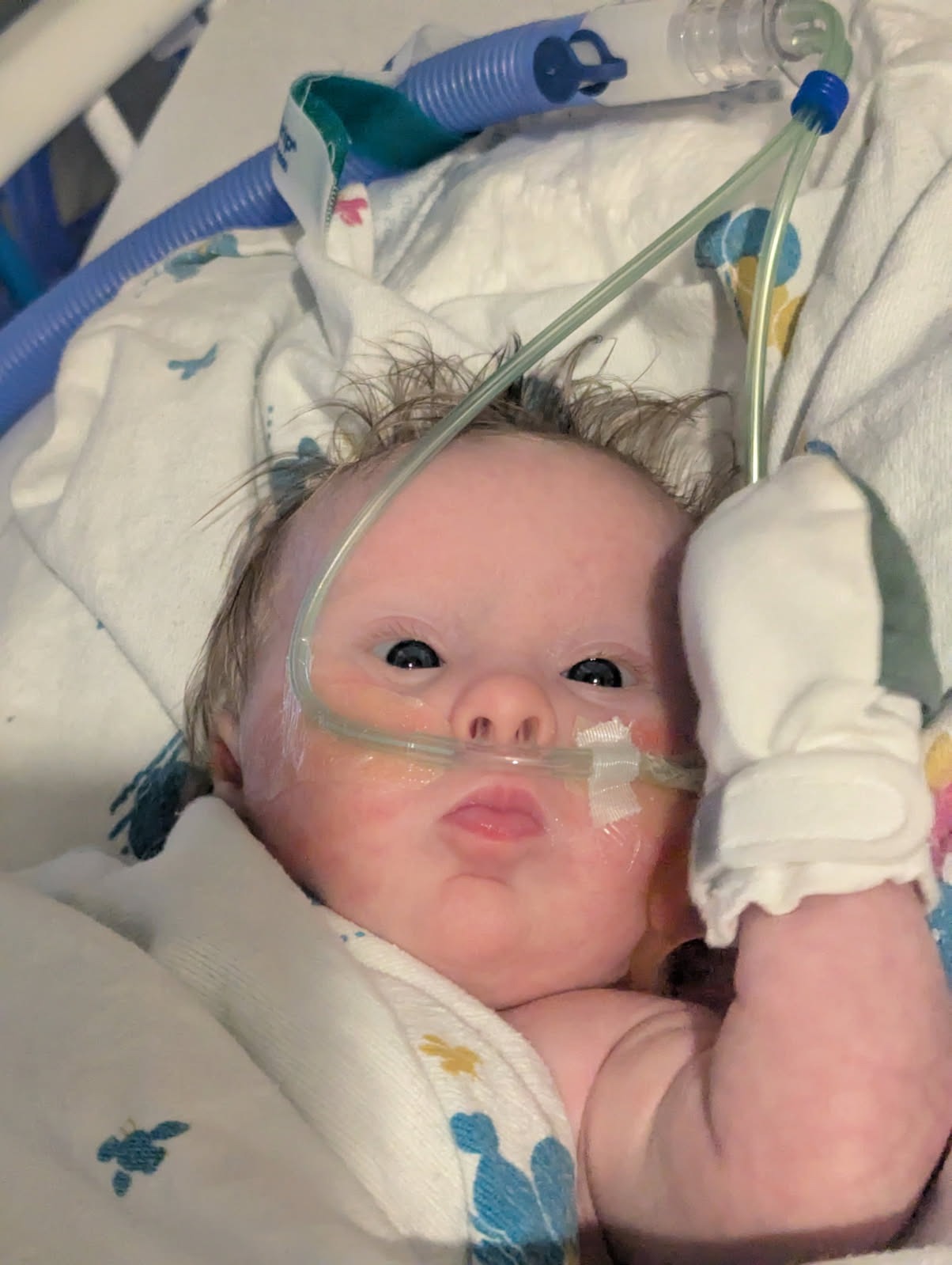Support for Bowen’s Medical Journey campaign photo, 2 of 7