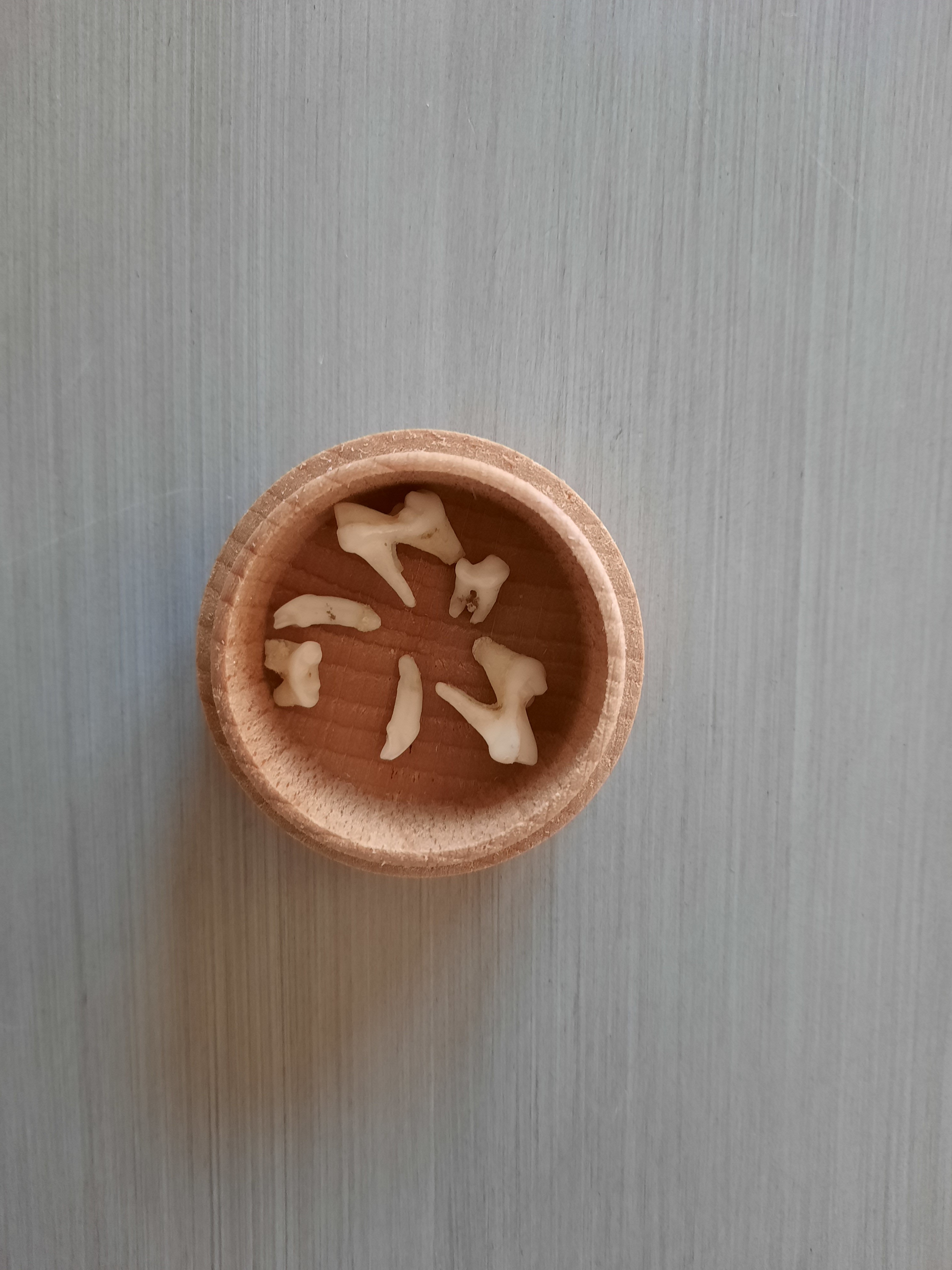 Kampagnen-Foto für Unterstützung für meine OP, 2 von 7
