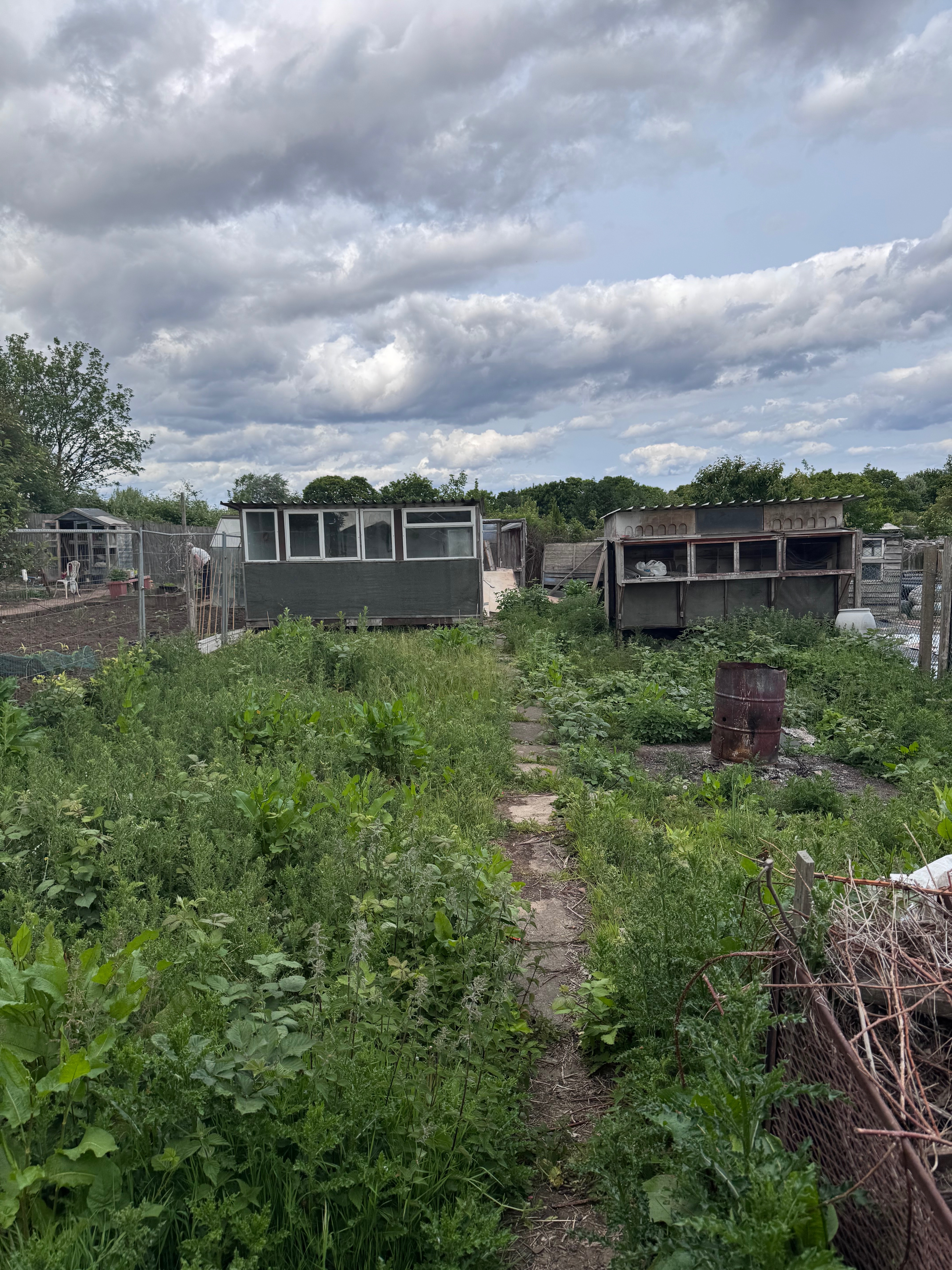 William’s Den - An Autistic and Disabled Allotment campaign photo, 2 of 4
