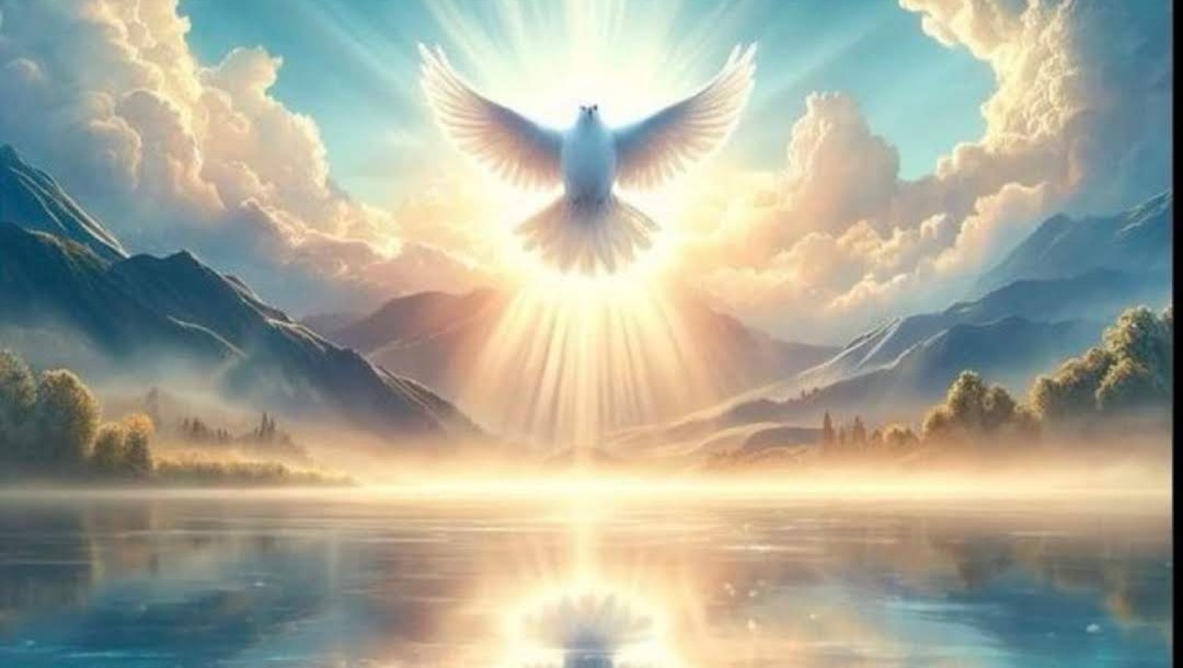 And Justice for all. photo