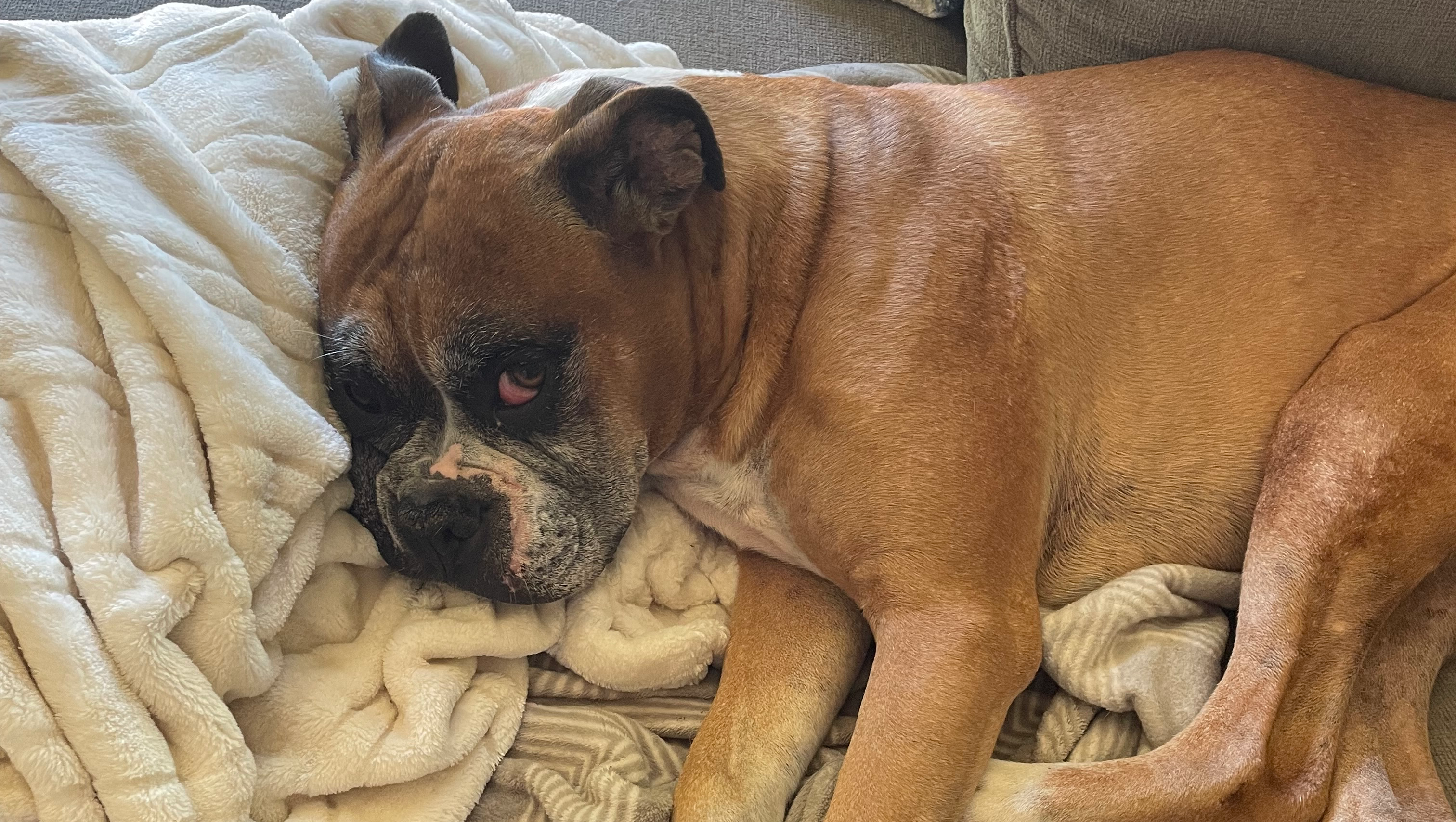 Support Porter’s Surgery and Recovery