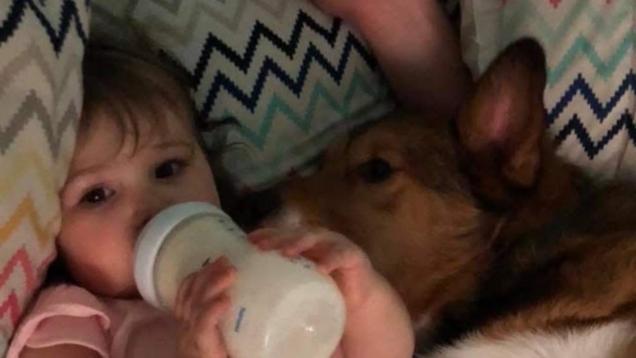 Help After Losing Doug to Illness photo