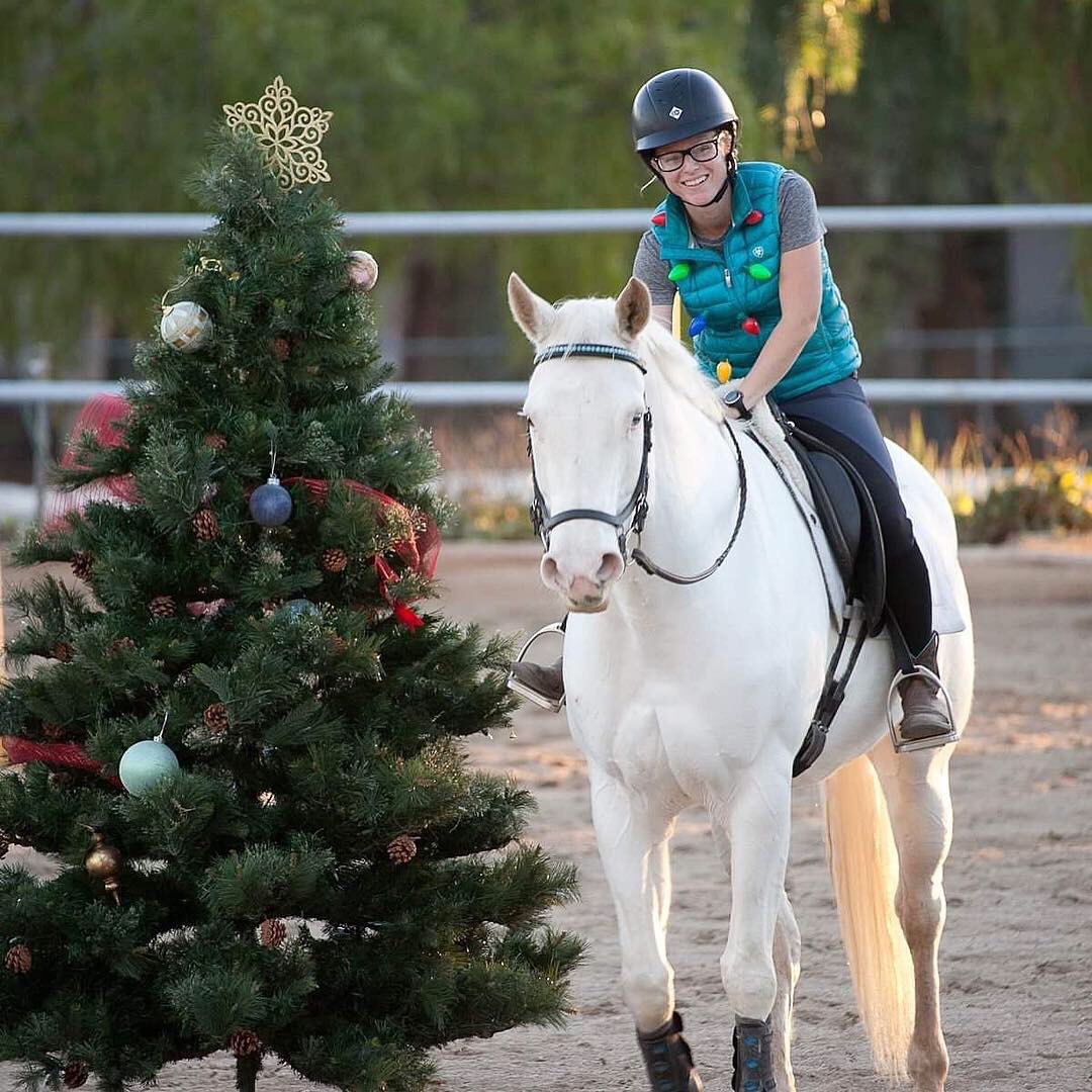 Horses Miracles Ride Fundraiser by Ashley Stone : Help Happy the Miracle Mare Heal