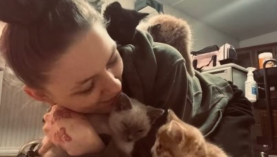 Help Vet and Care for Rescued Kittens photo