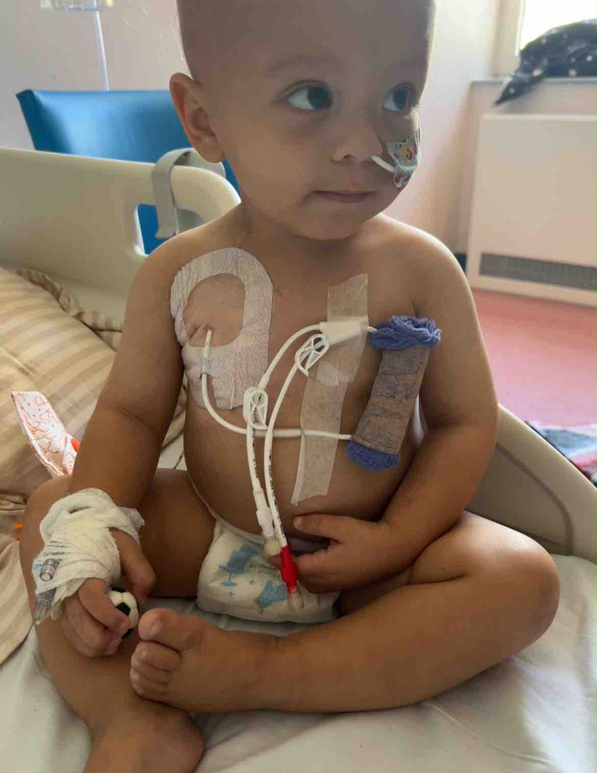HELP- Koa needs your help now more than ever campaign photo, 7 of 13