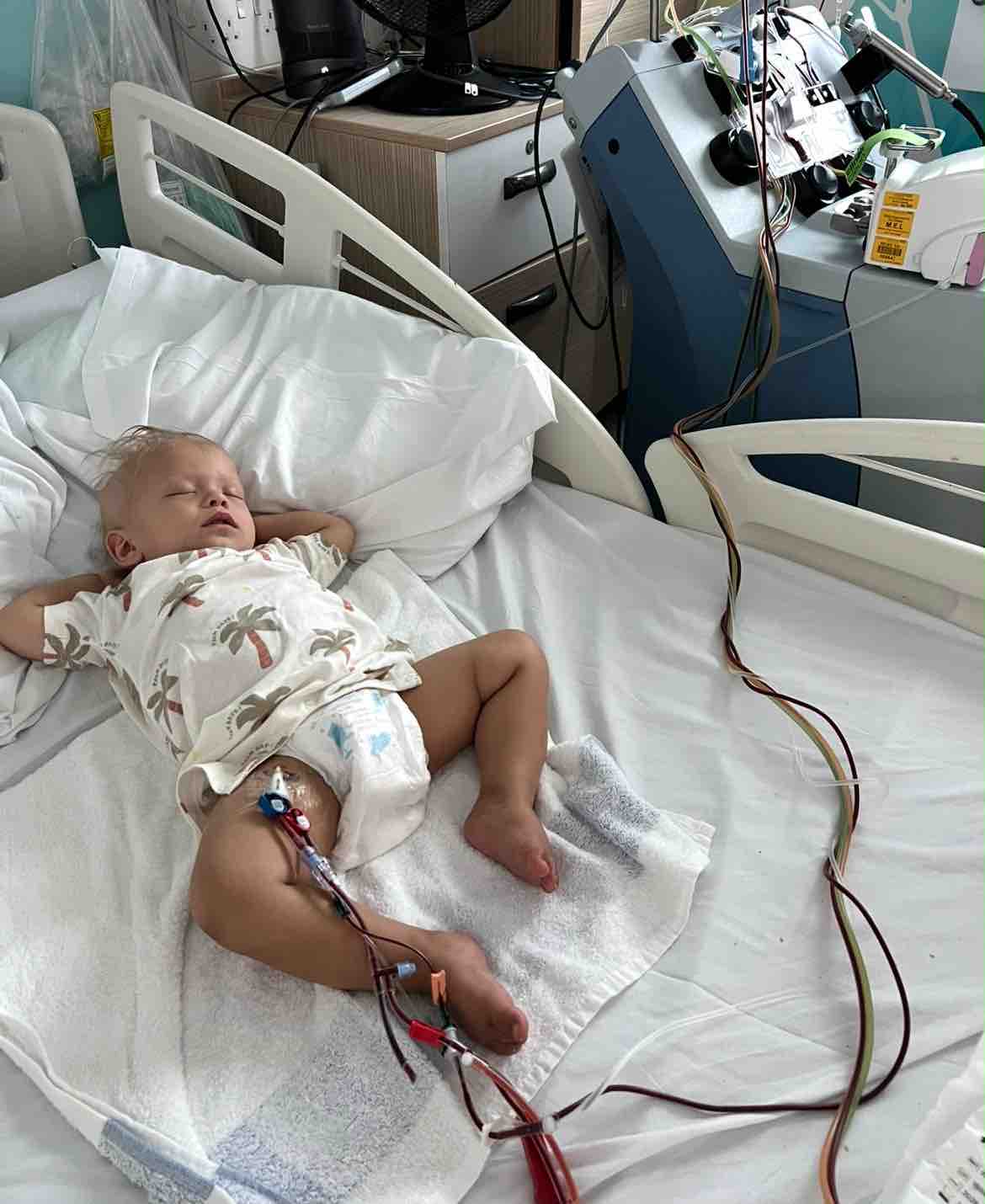 HELP- Koa needs your help now more than ever campaign photo, 9 of 13