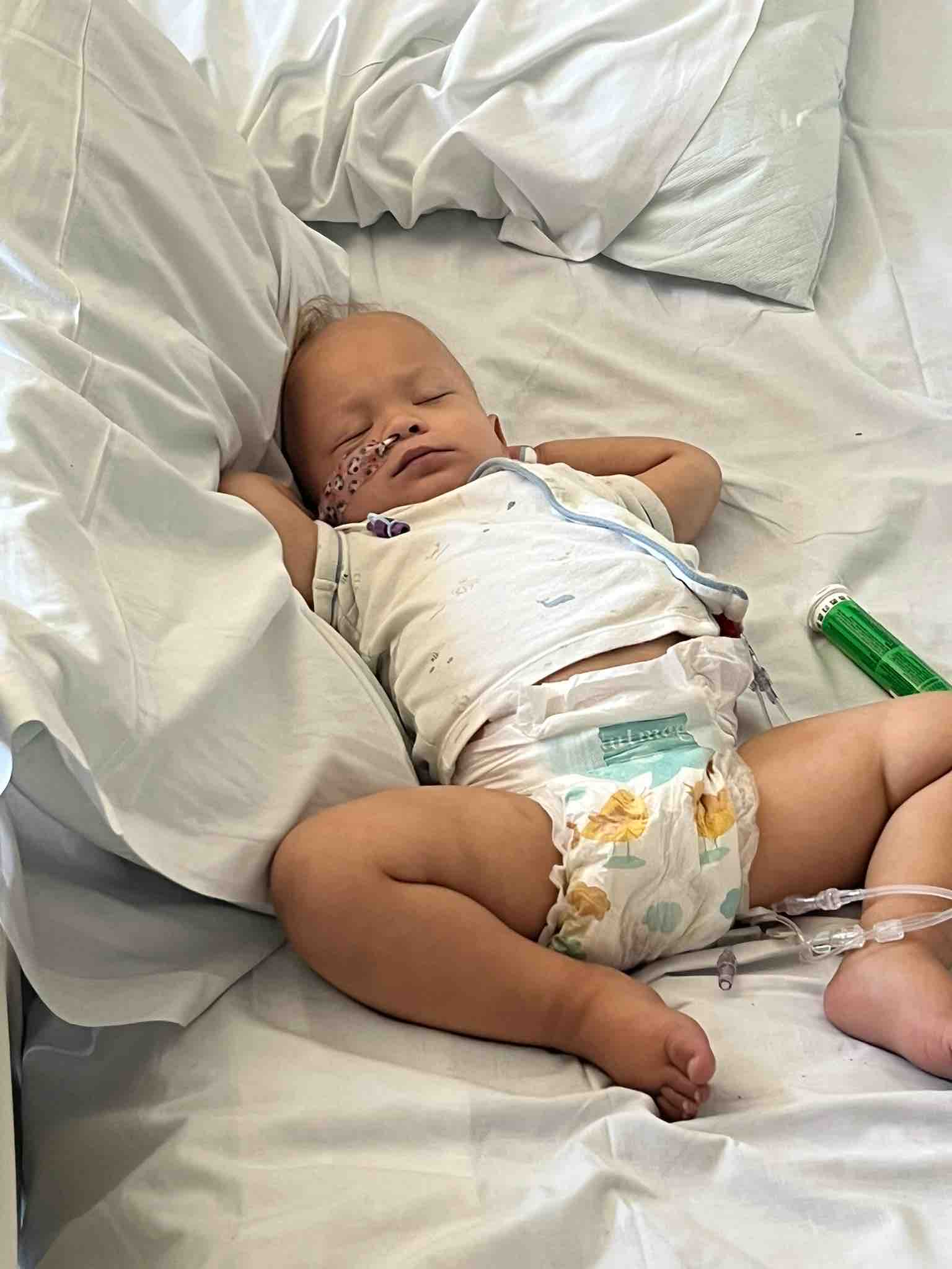 HELP- Koa needs your help now more than ever campaign photo, 10 of 13