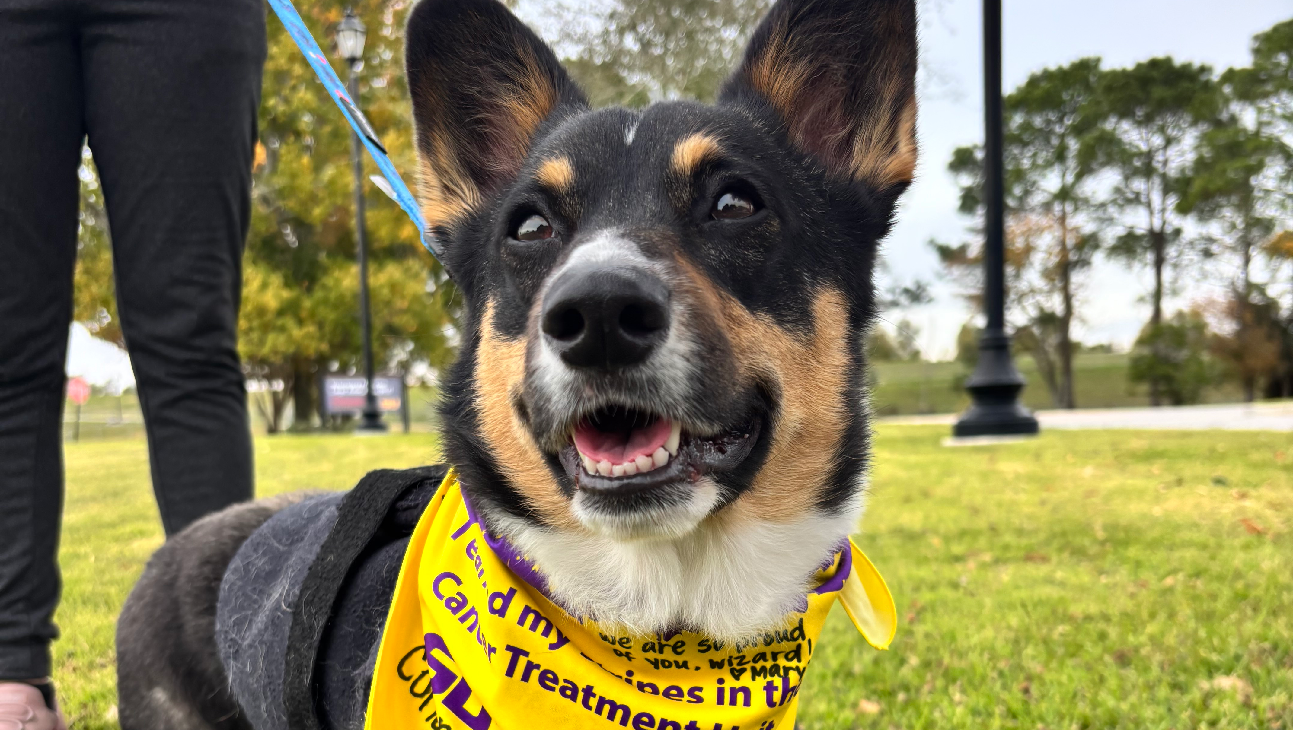 Help Wizard Fight Lymphoma Again photo