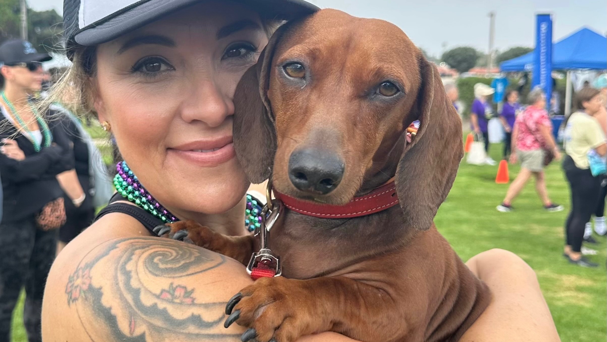 Help Otis Get the Vet Care He Needs