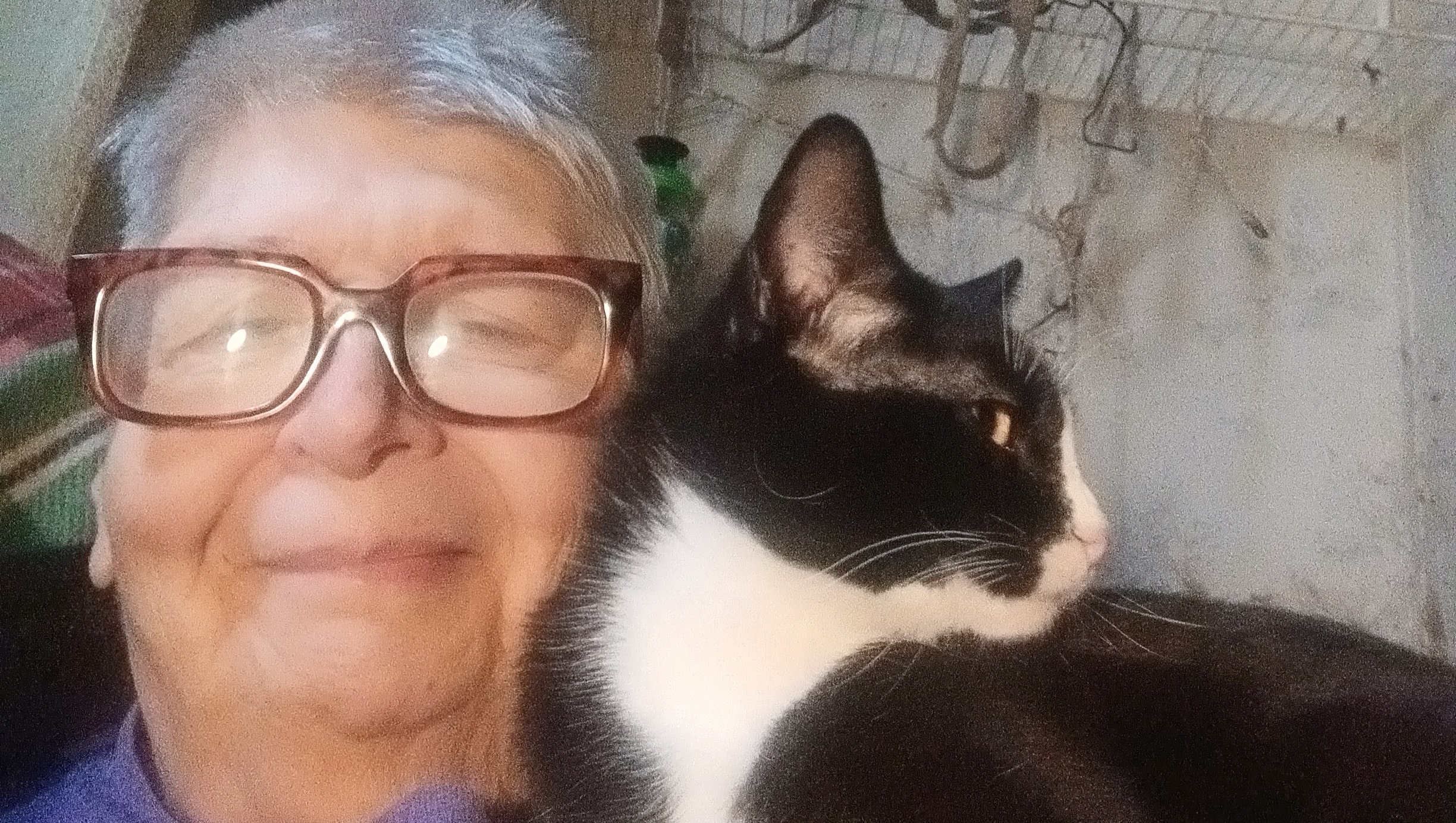 Val's cat house photo