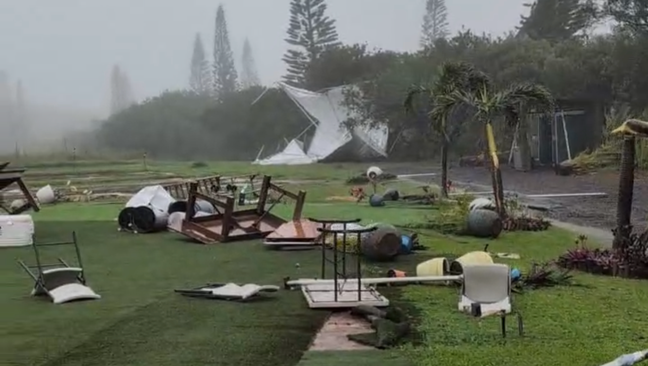 Help Rebuild Hua Momona Farms Events Space photo