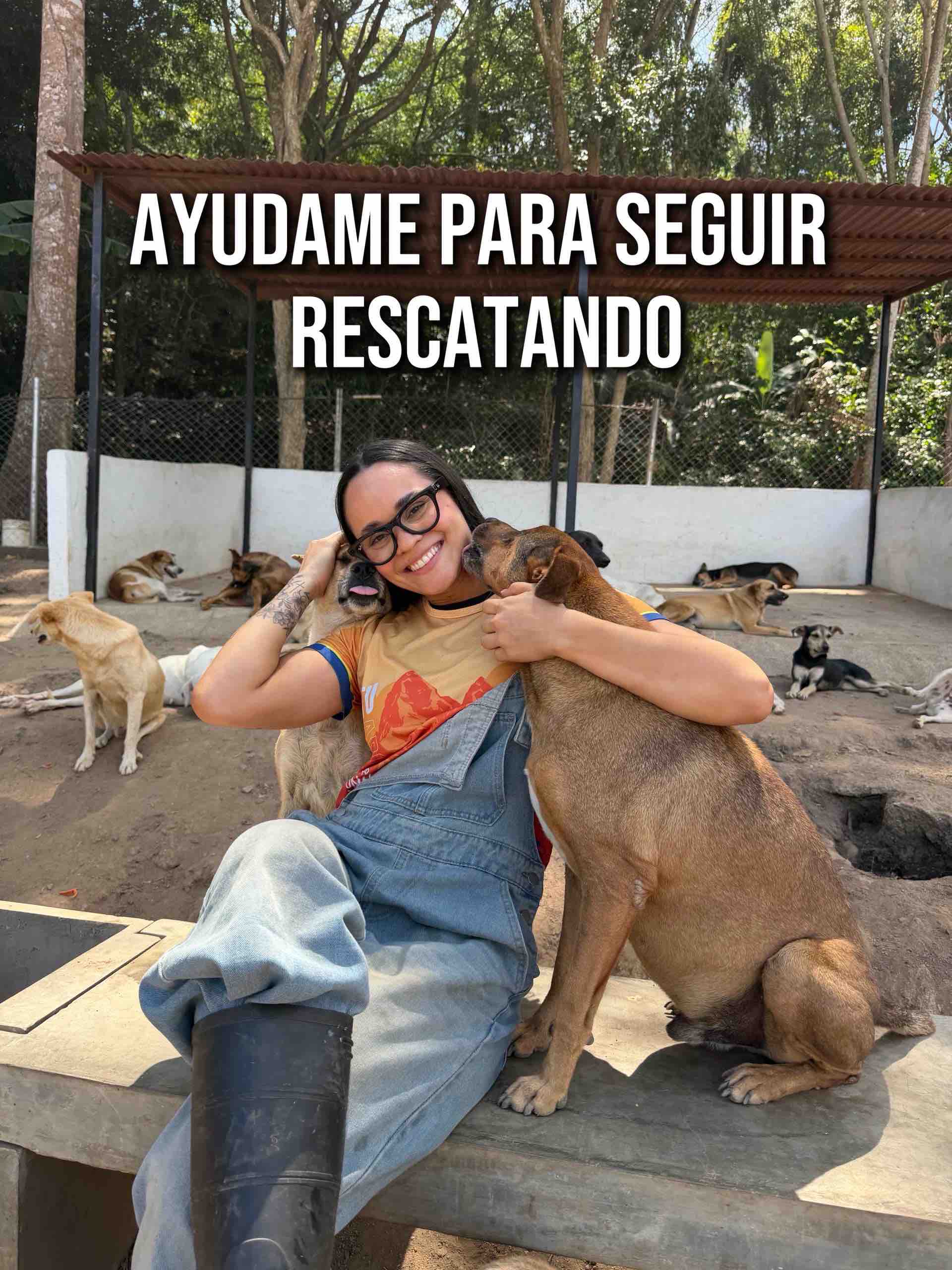 Support Mi Primer Rescate's 100 Rescued Pets campaign photo, 6 of 7