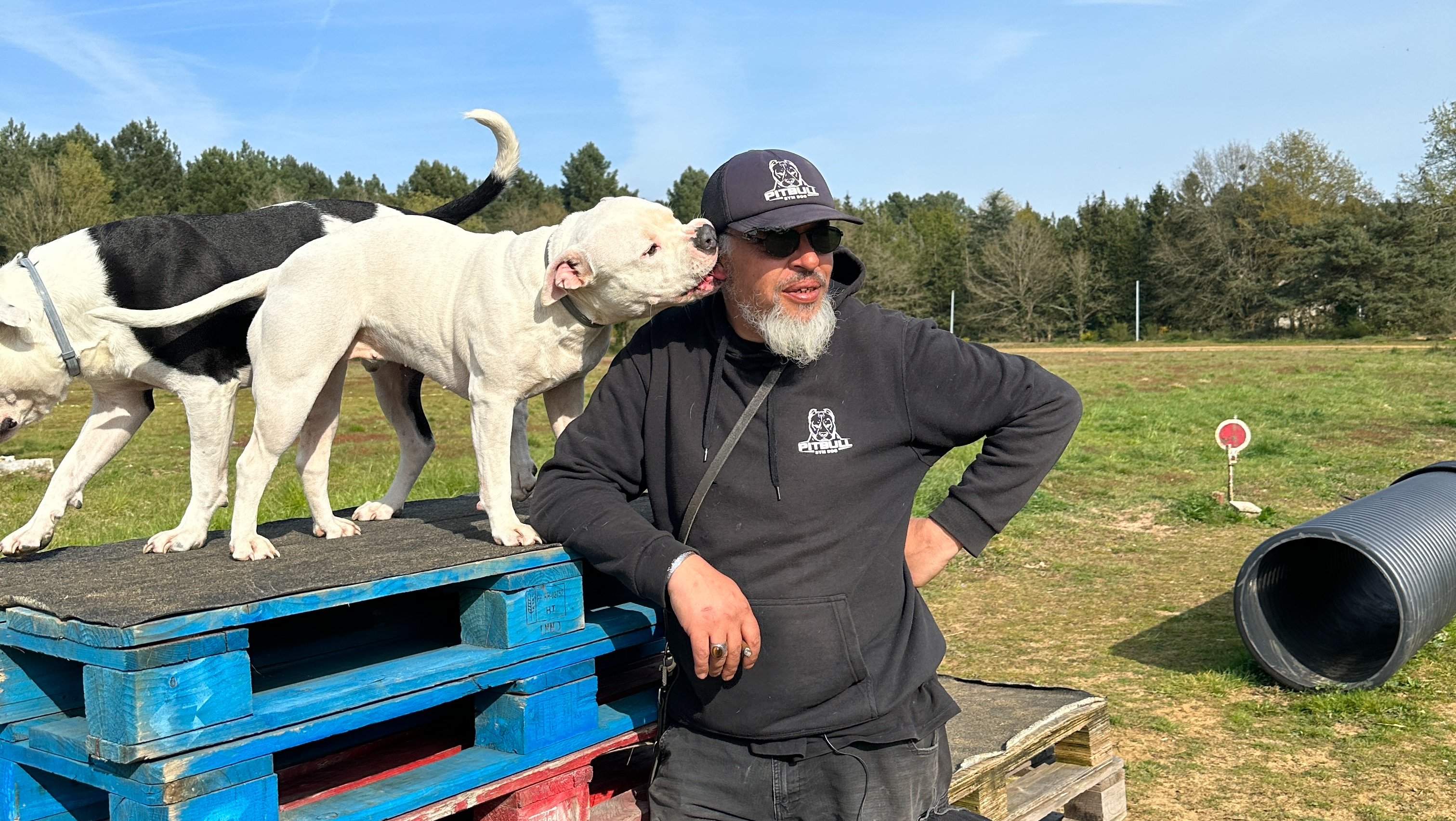 Soutenez le refuge des "Chiens de l'ombre" photo