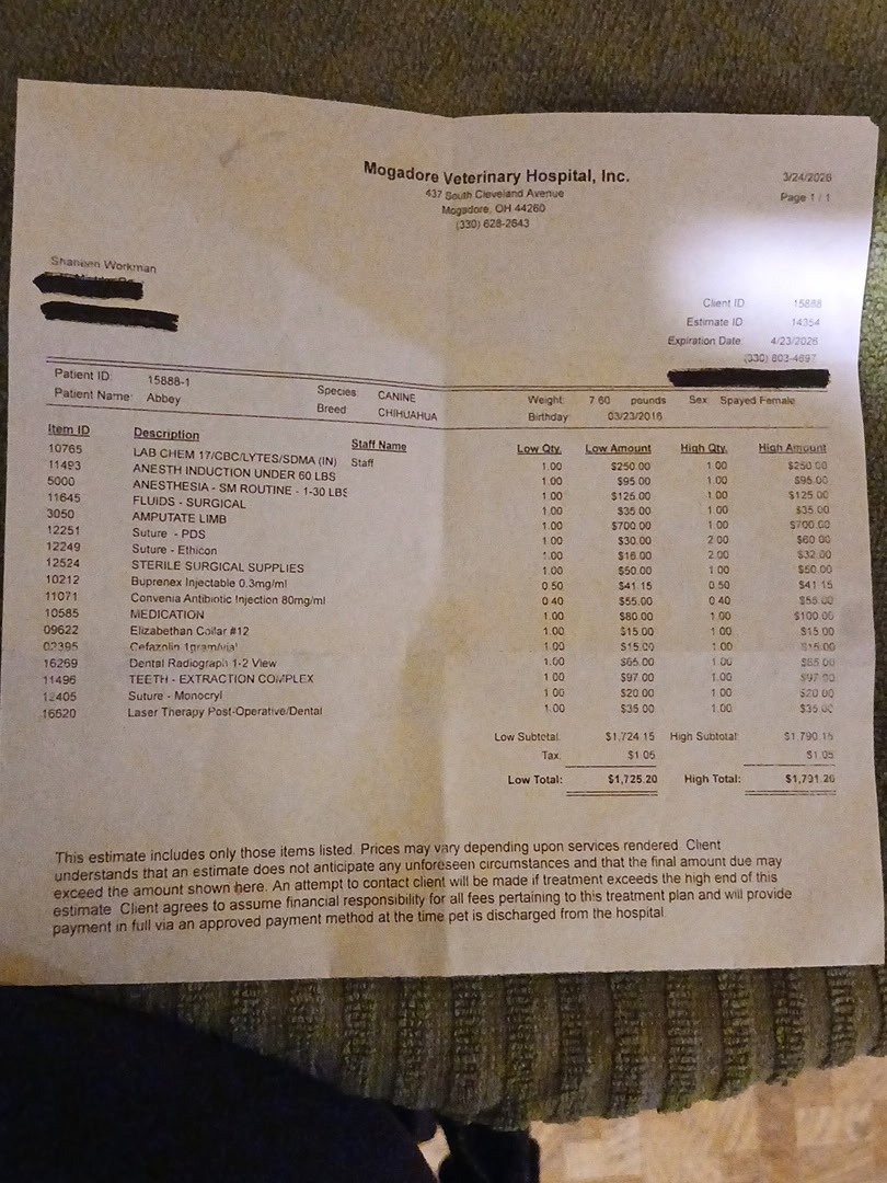 Help My Dog Recover After Leg Injury campaign photo, 7 of 8