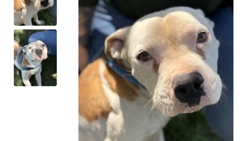 Help Baby Boy Get the Care He Needs photo