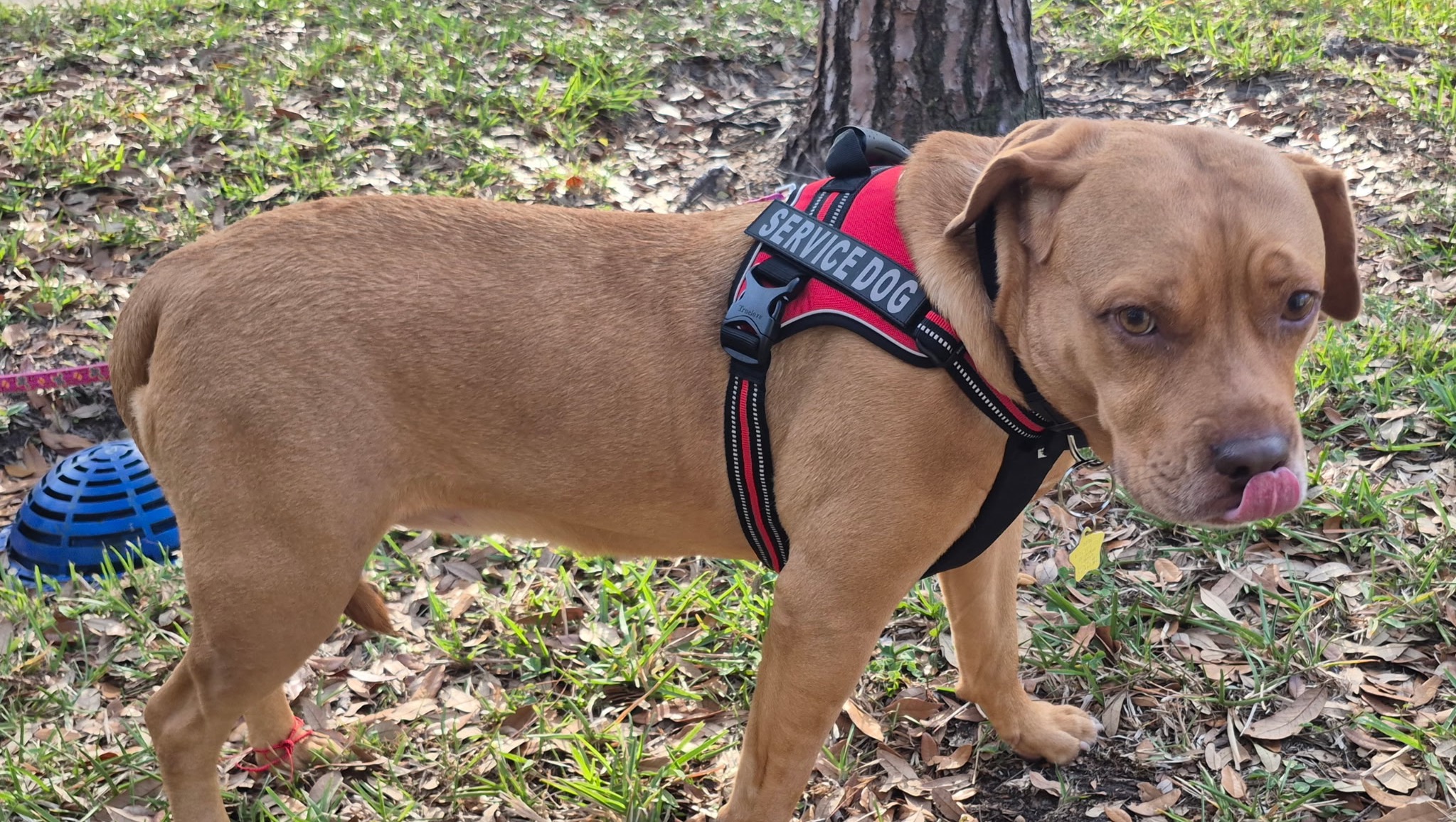 Help Keep Mary Healthy and Happy photo