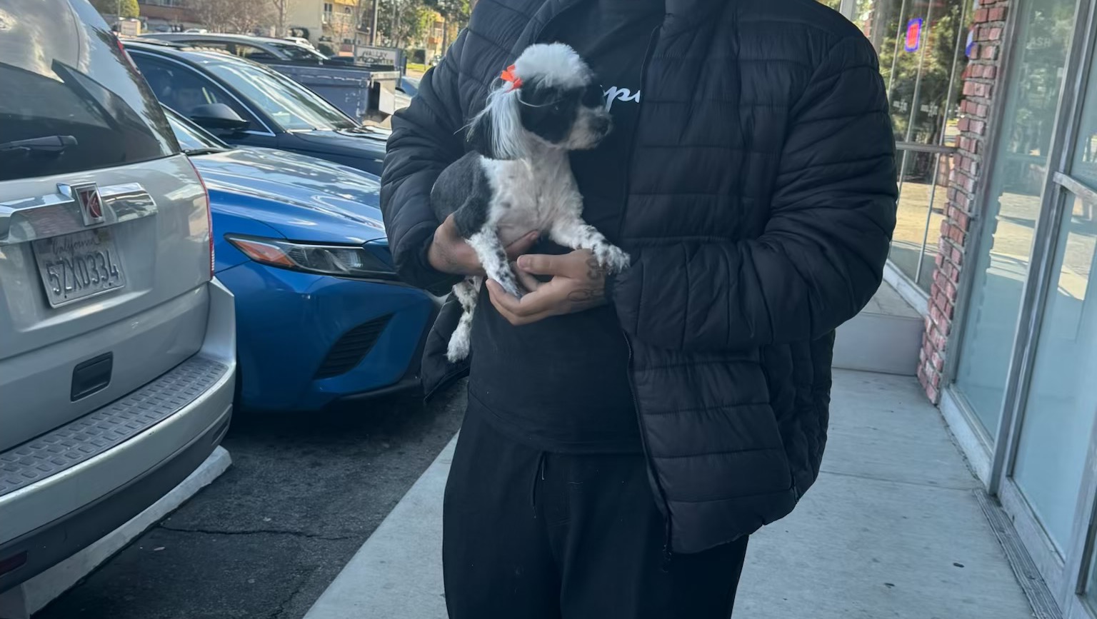 Help Us with Essentials and Dog Food photo