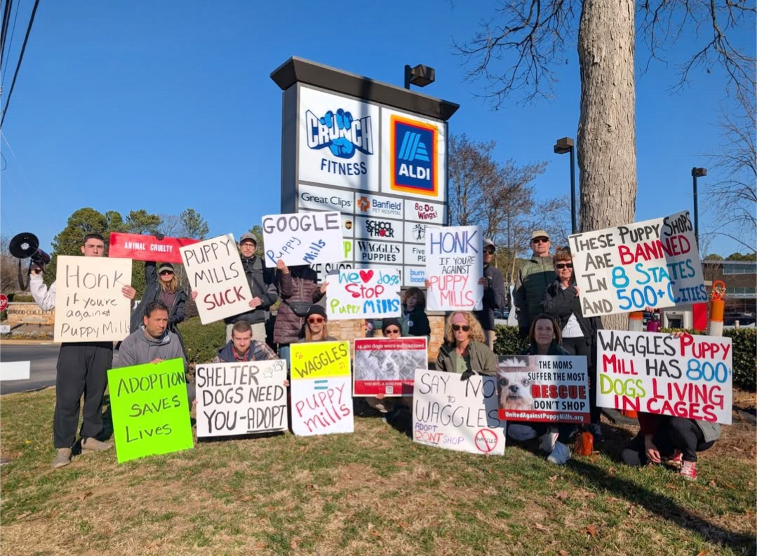 Support NC Animal Advocates United campaign photo, 2 of 7
