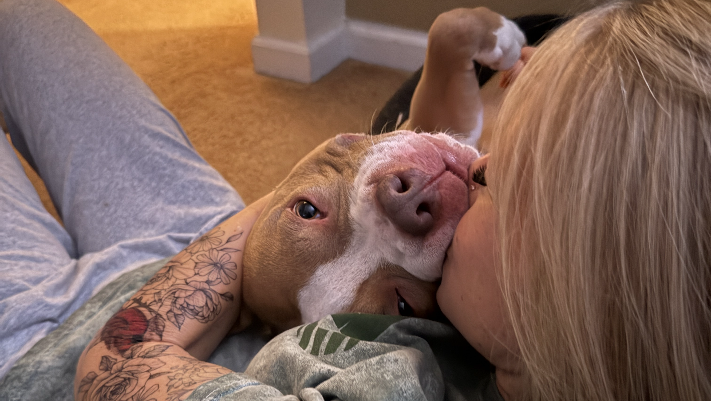 Jax's Road to Recovery photo