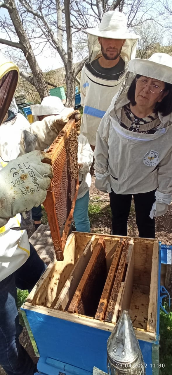 Empower Vaghatin Families with Beekeeping Skills campaign photo, 7 of 8