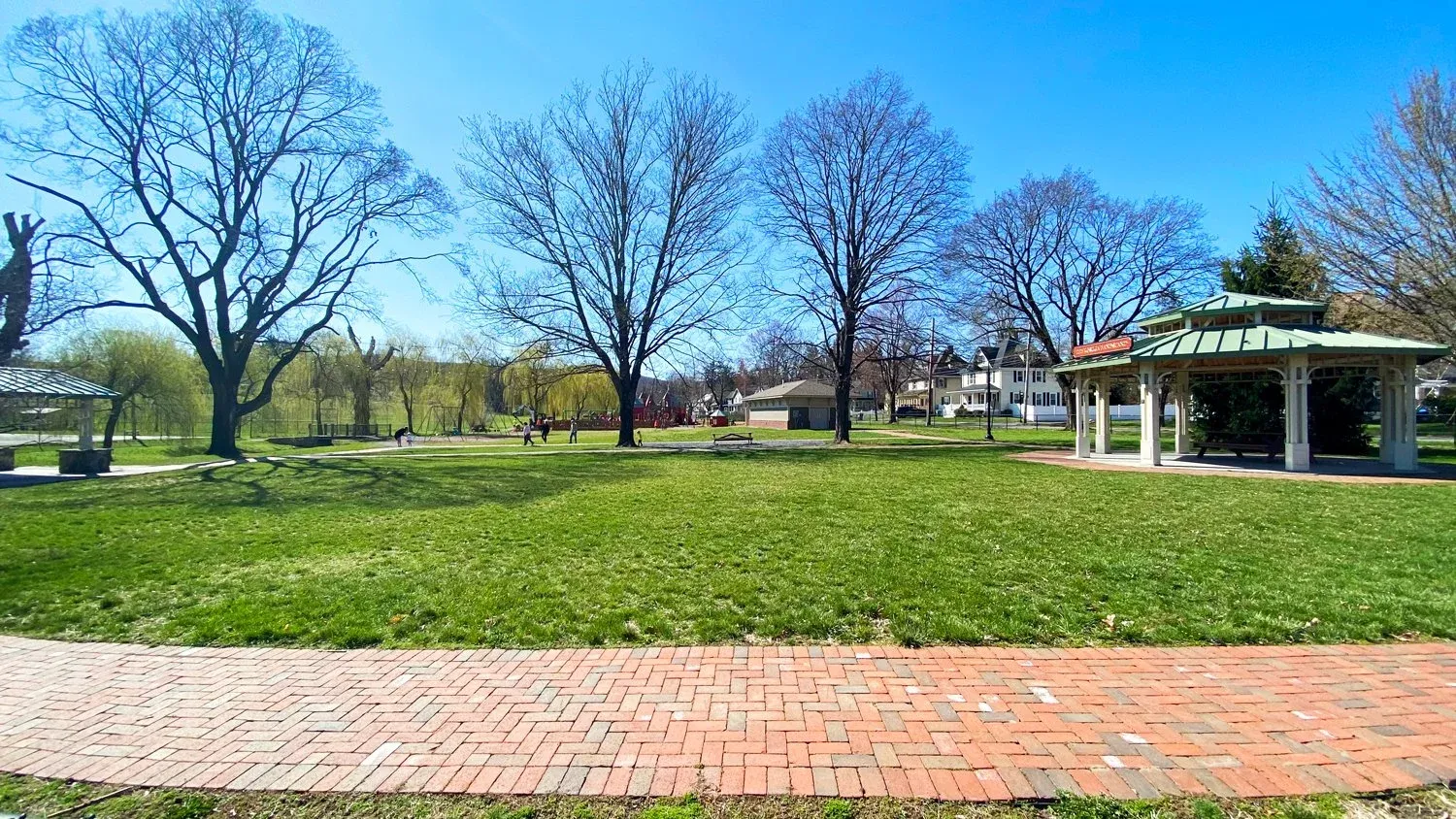 Eagle Project for Stanley Deming Park - Sean Klein campaign photo, 2 of 5