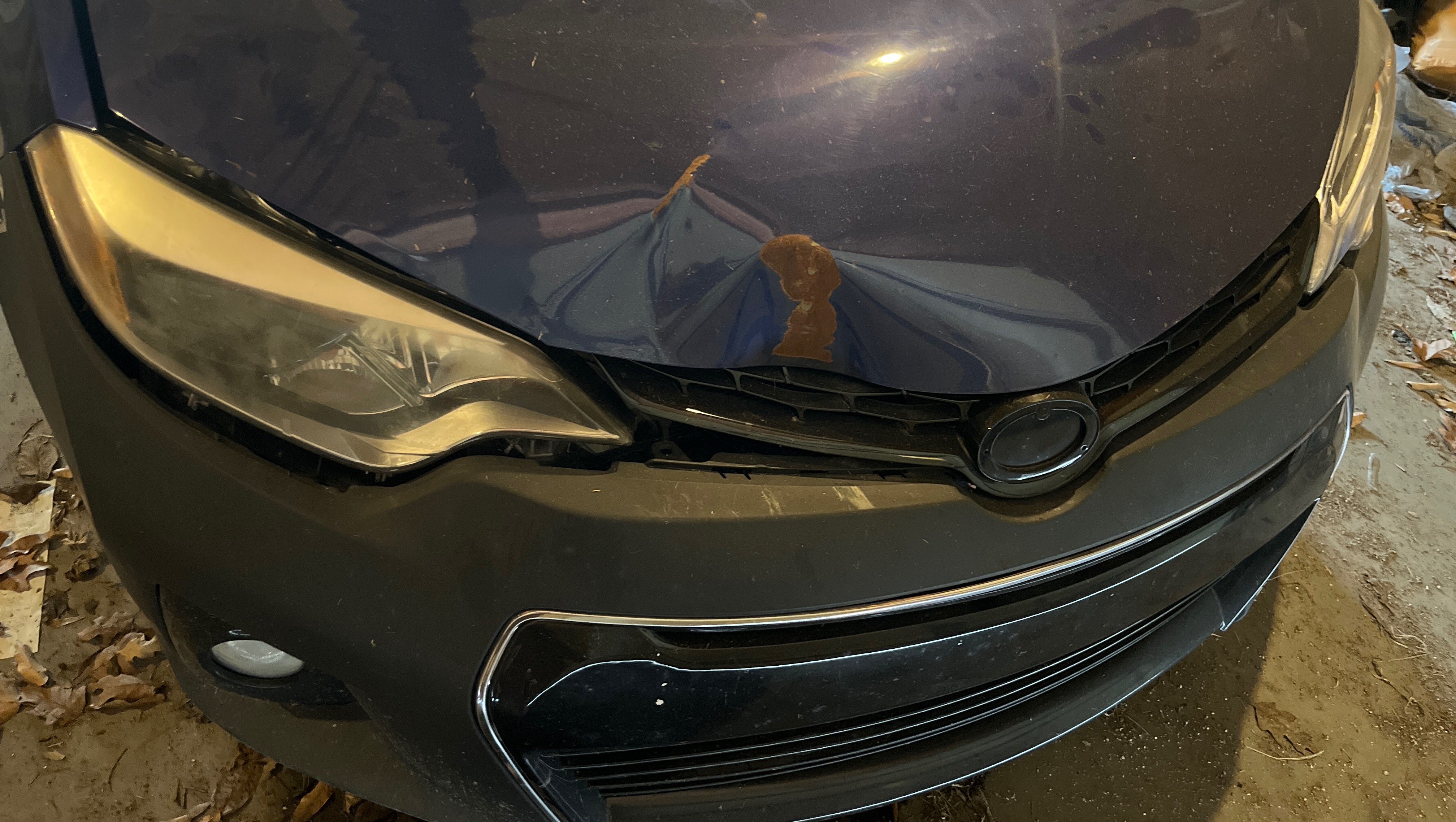 Help Me Get Back on the Road photo