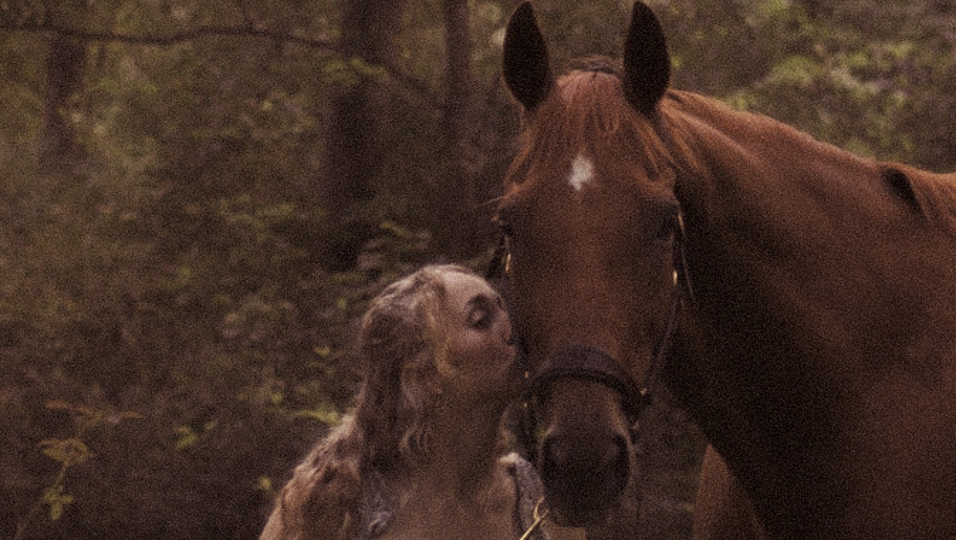 Help My Horse Recover After His Accident photo