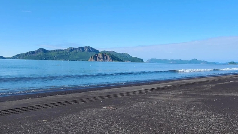 support for a disabled mechanic photo