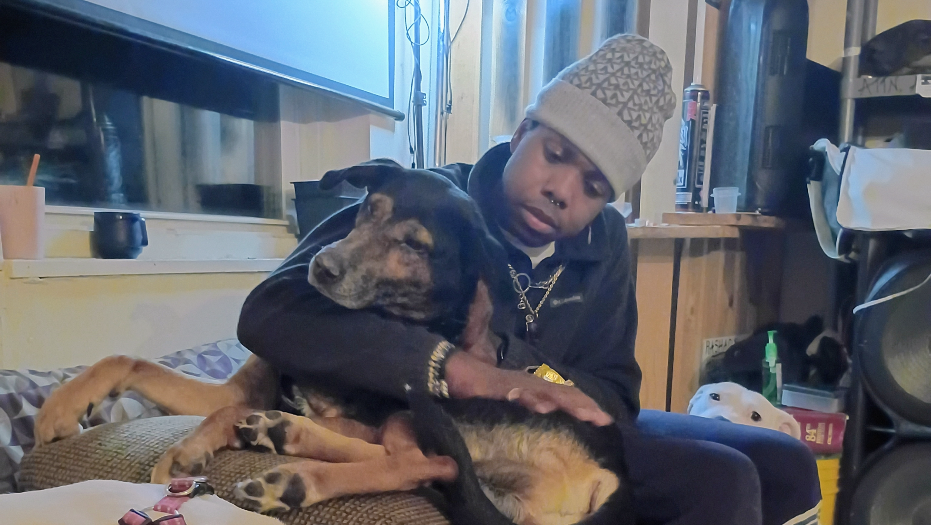 Save Buddy: A True Rescue Dog's Journey photo