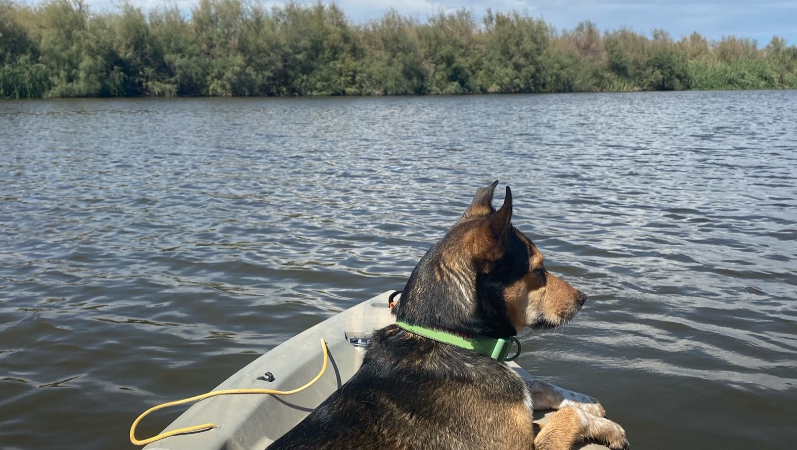 Support Ramon’s Recovery Journey photo