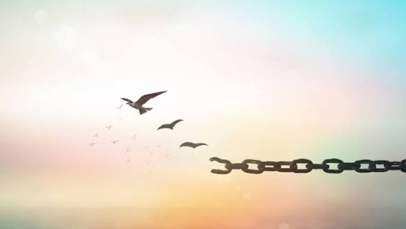 A Fresh Start After Hard Times photo