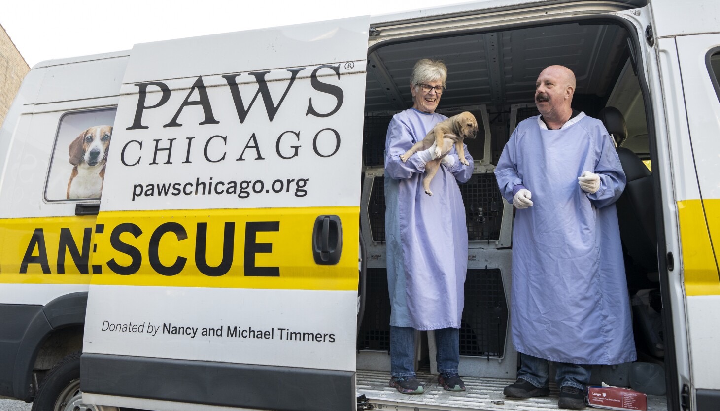 Support PAWS Chicago's Life-Saving Mission campaign photo, 7 of 8