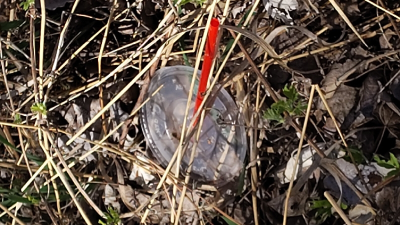 Help Clean Up America’s Beautiful Landscapes photo