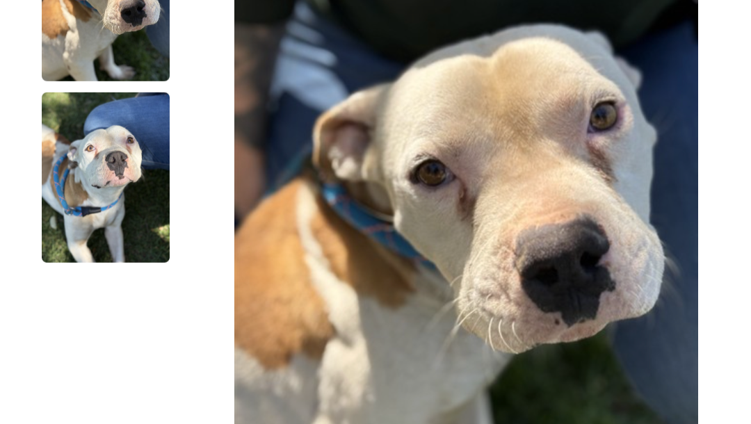 Help Baby Boy Get Life-Saving Medical Care photo