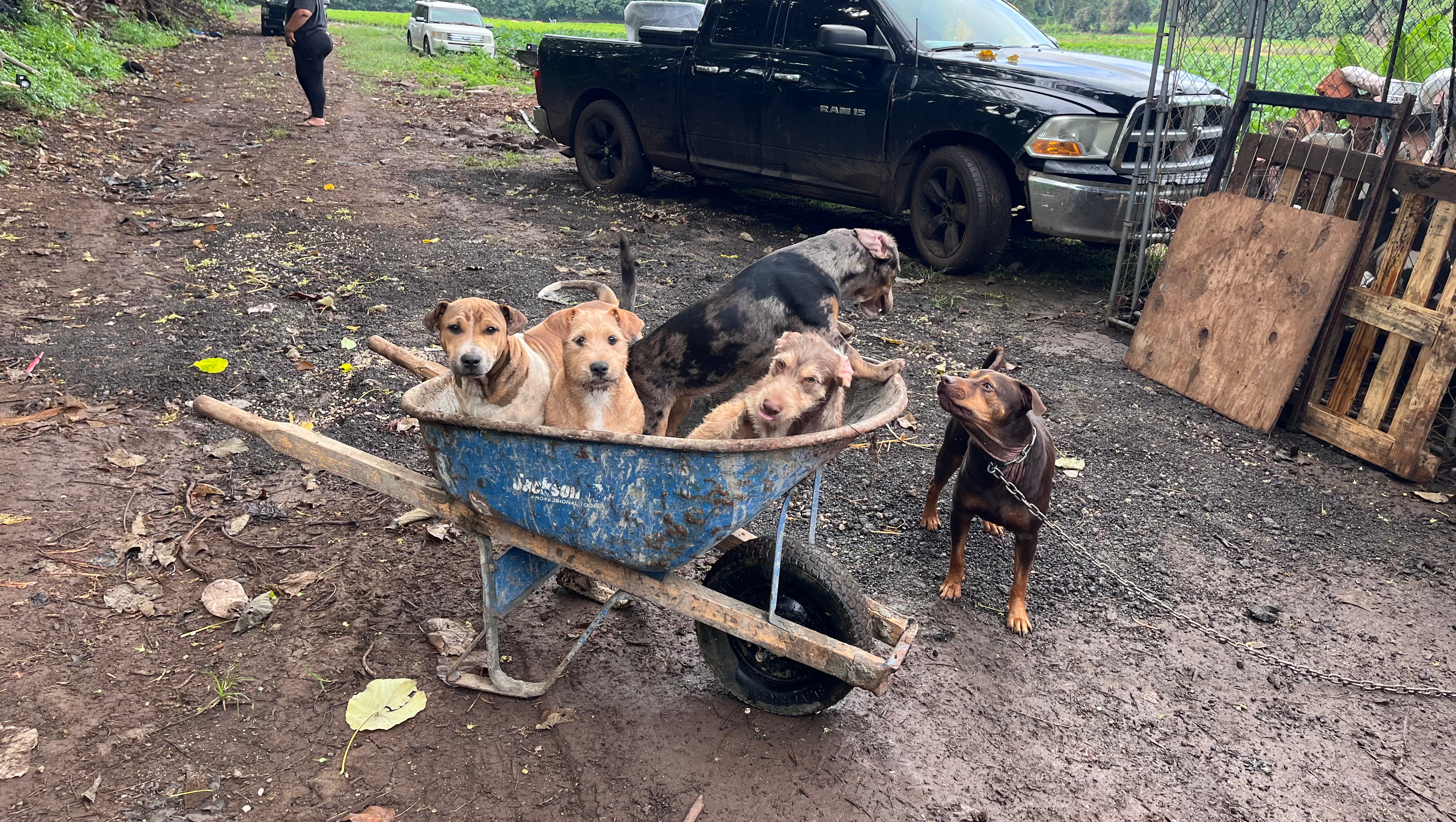 Help Us Rebuild After the Kona Low Storm photo