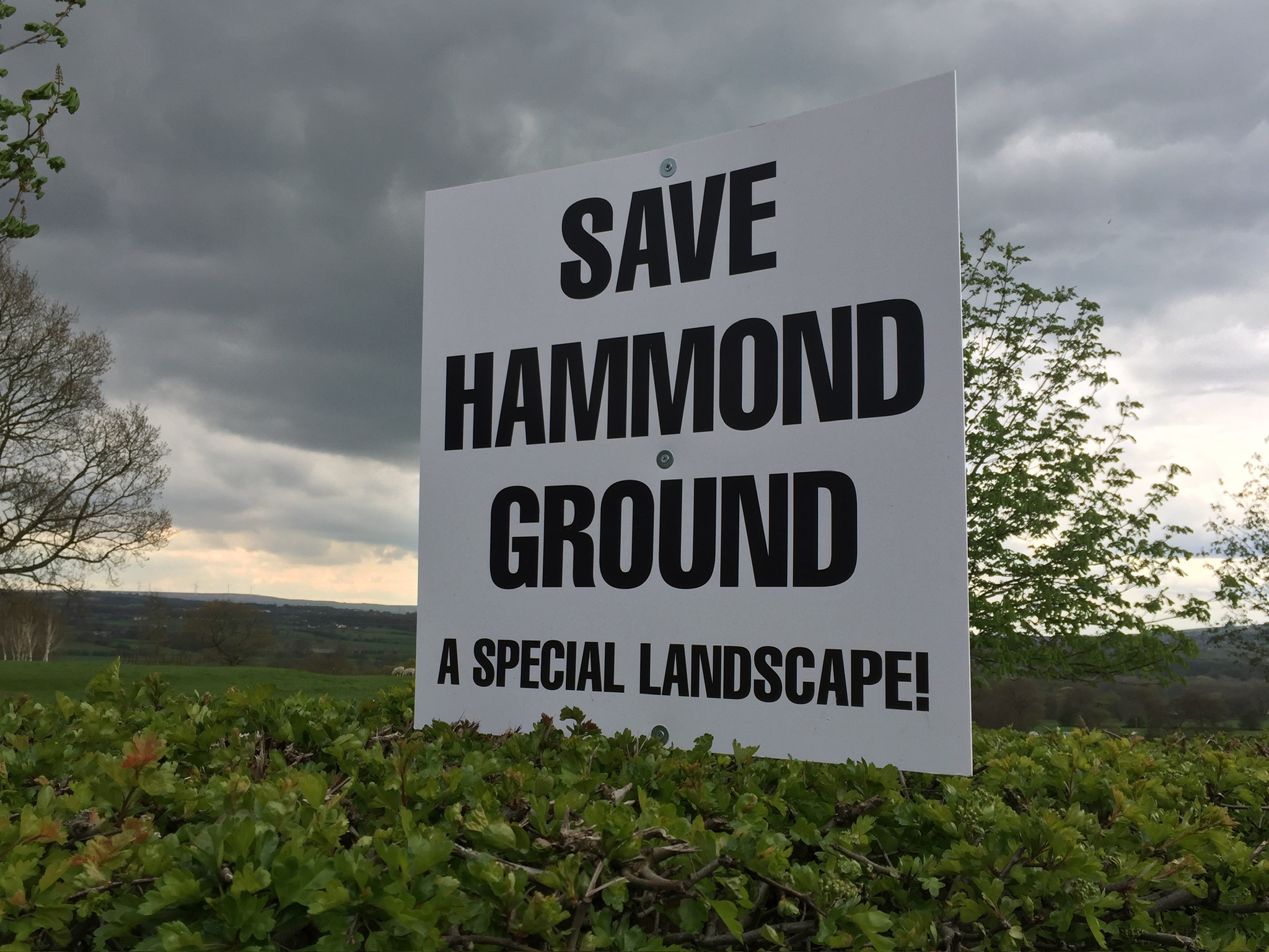 Save Hammond Ground campaign photo, 4 of 5