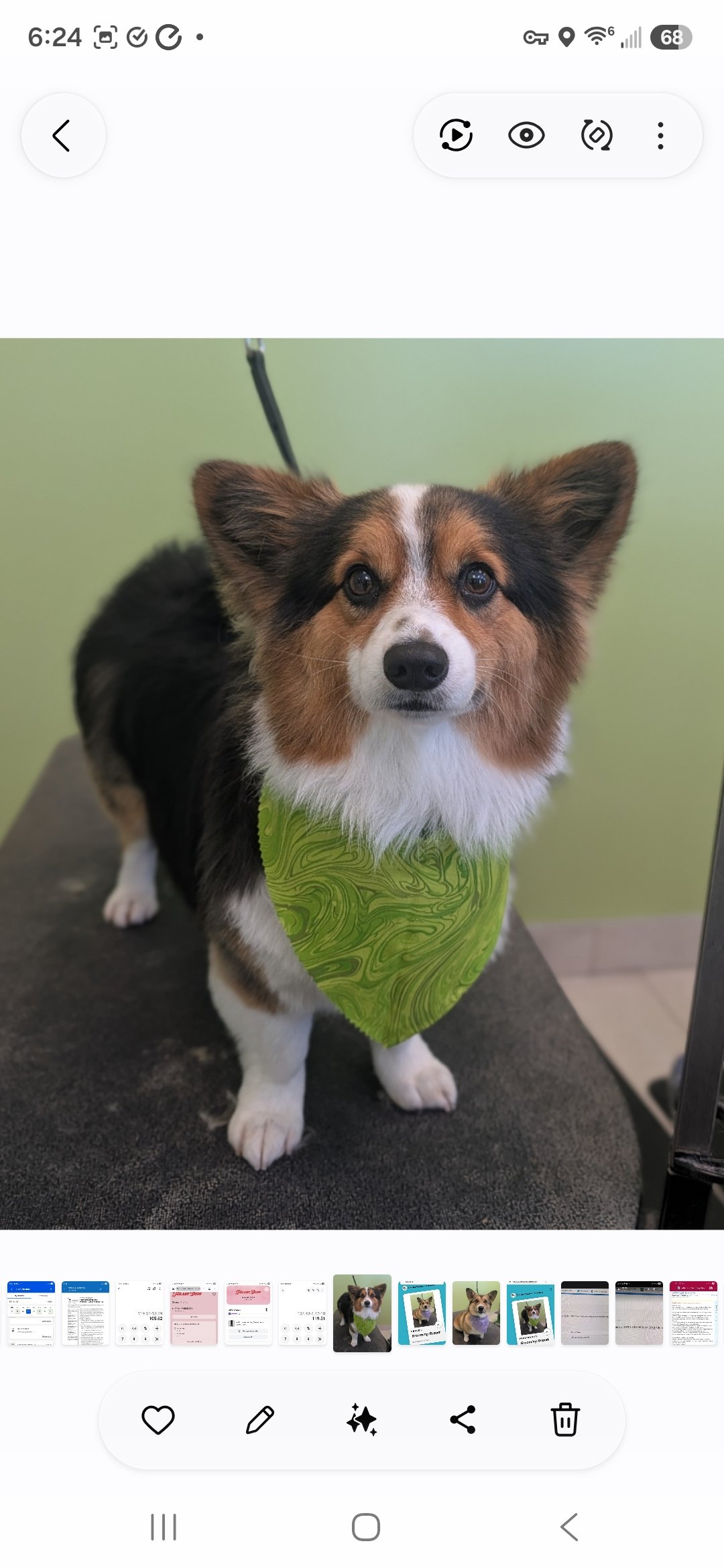 Help Ferdinand Get Urgent Dental Care campaign photo, 7 of 8