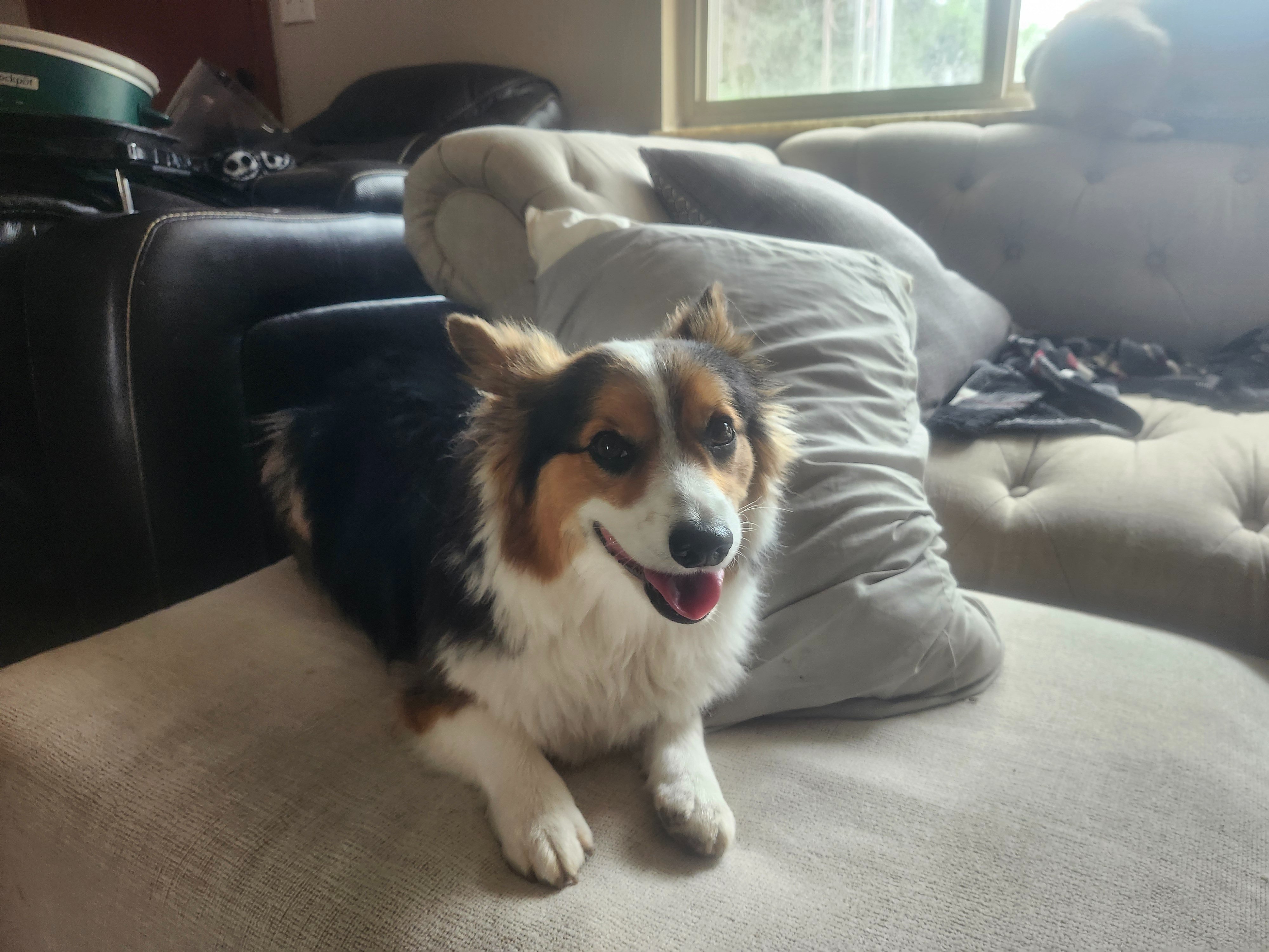 Help Ferdinand Get Urgent Dental Care campaign photo, 5 of 8