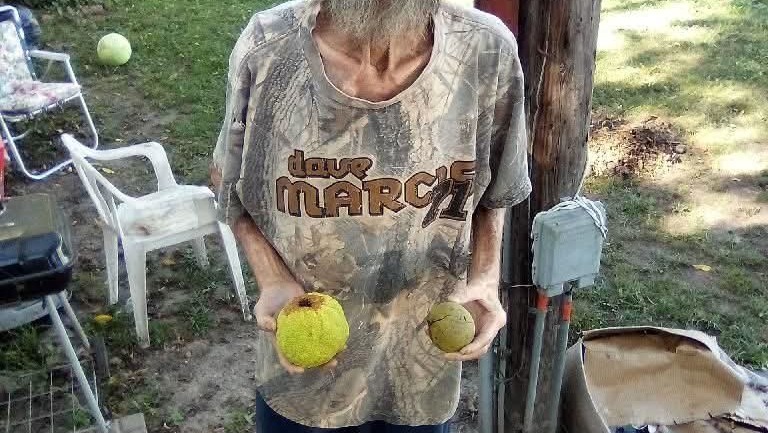 Honoring My Dad's Memory with Dignity photo