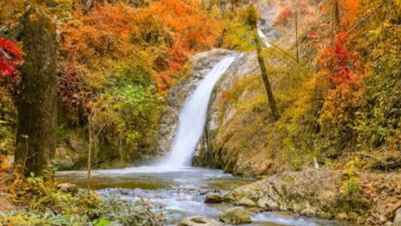 Help Mariah’s Family Find Safety and Stability photo