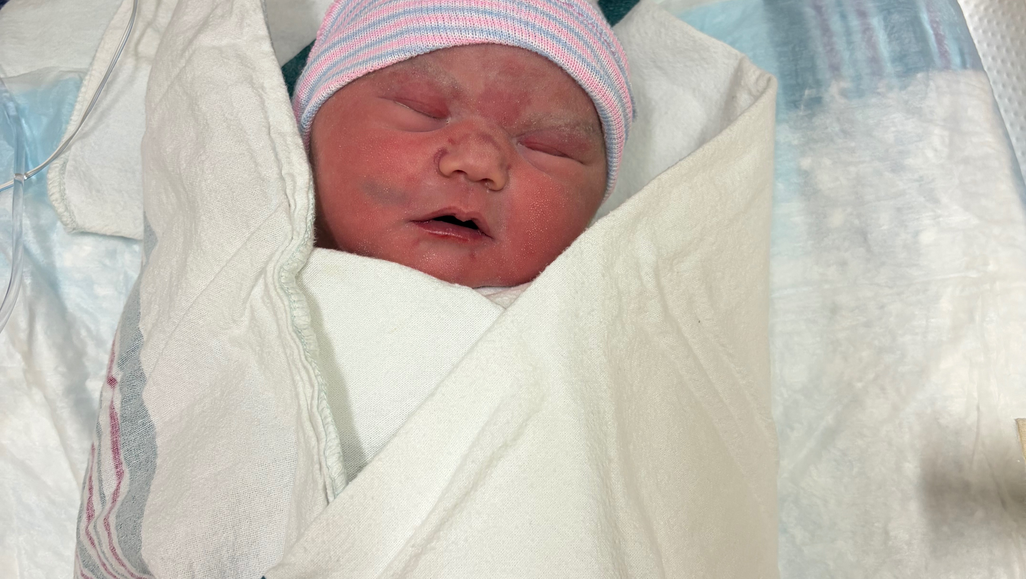Fundraiser by Lynne Jewell-Hamilton : Support for Baby Evelyn’s Heart ...