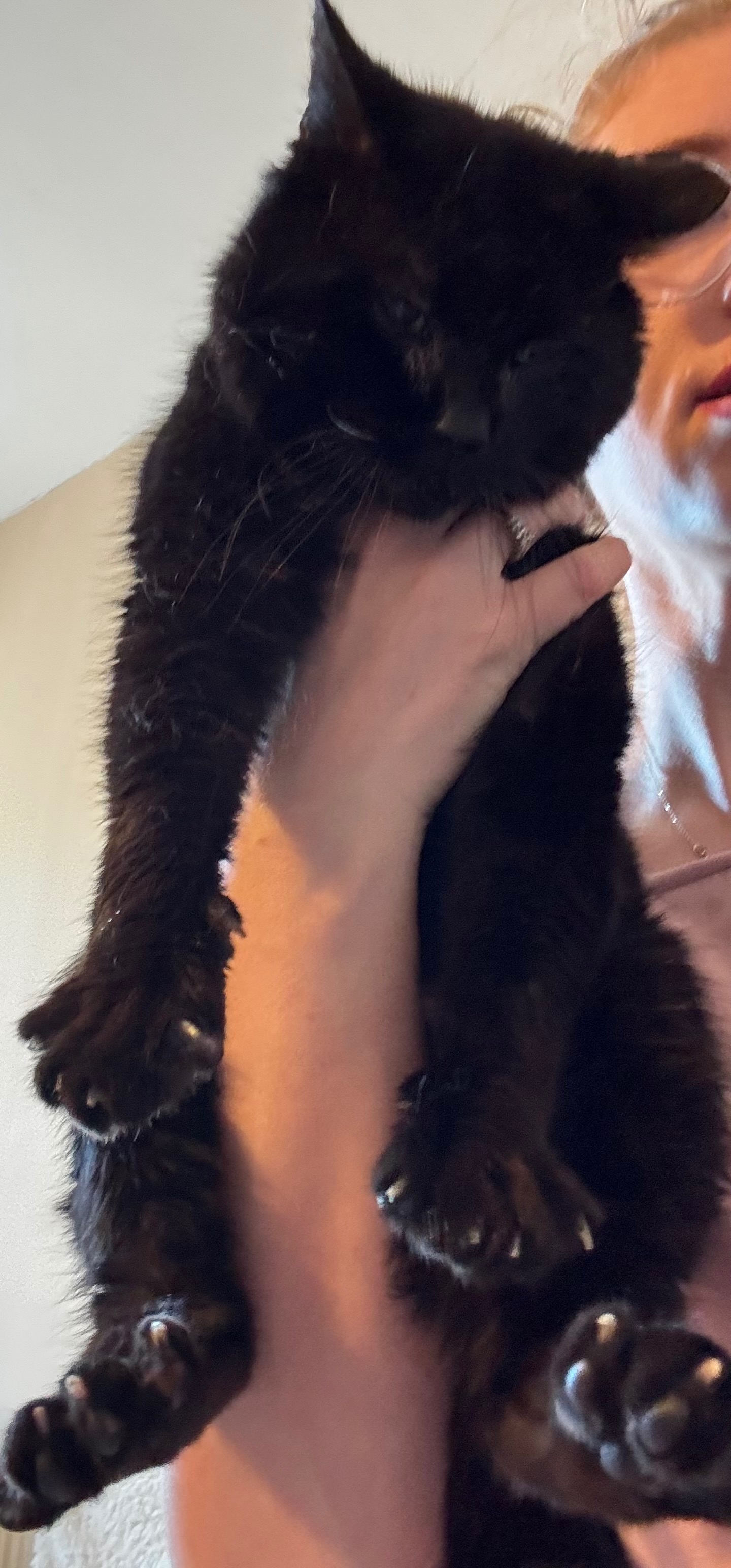 Little Gavroche needs a helping hand campaign photo, 5 of 6
