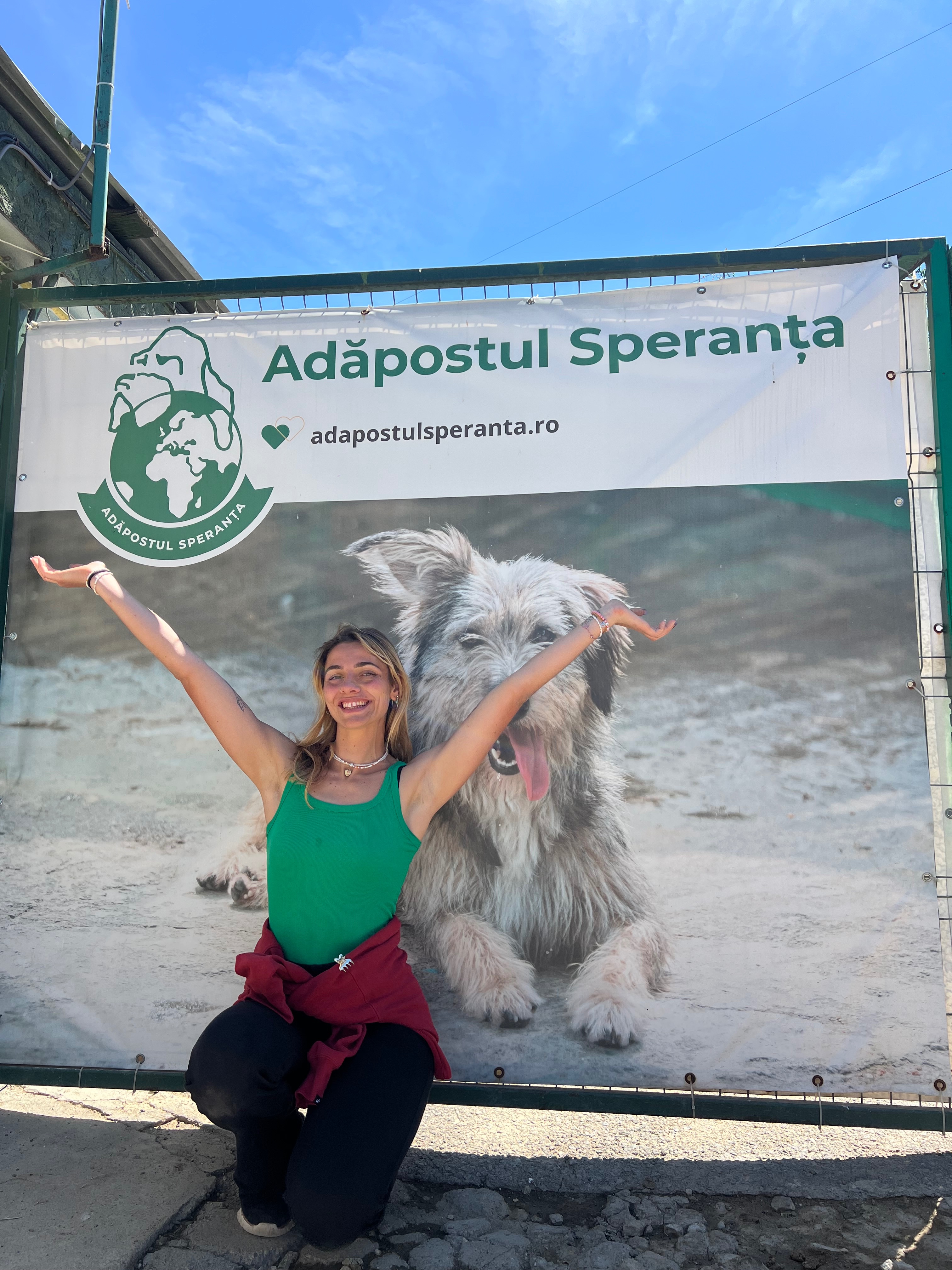 Raccolta fondi Romania per Speranta shelter campaign photo, 7 of 7