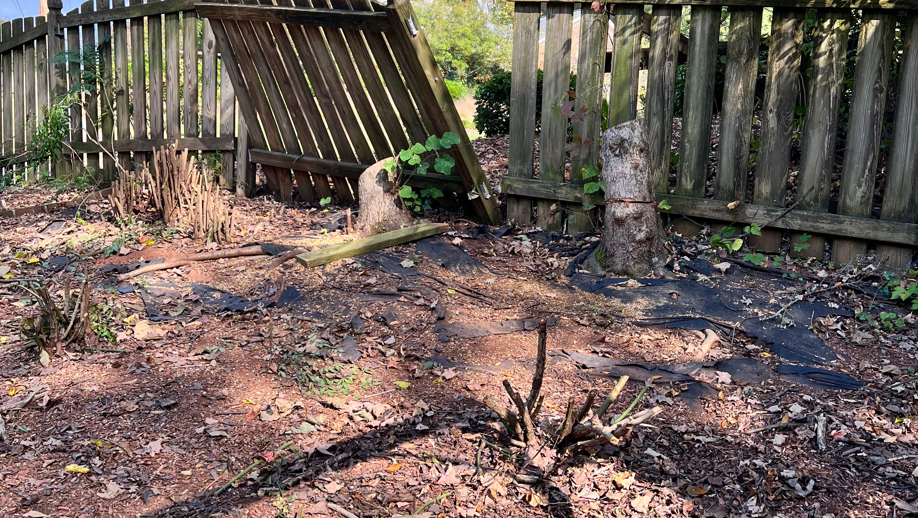 Help Me Save My Home and Independence photo
