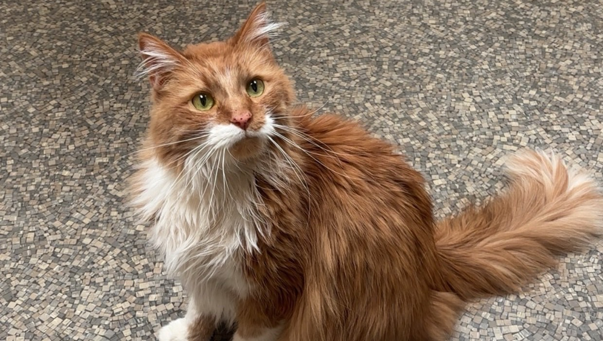 Help support the cost of Jack’s medical bills photo